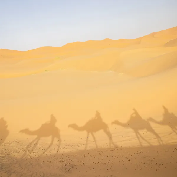 Why You Need to Get Your Butt to Morocco Immediately