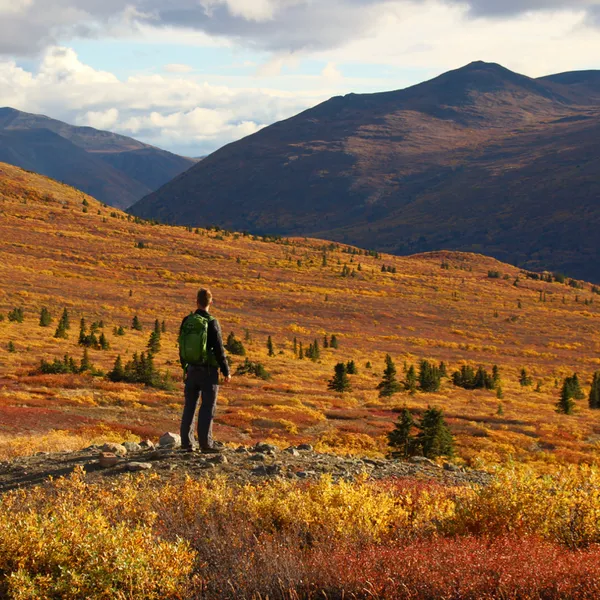 3 Reasons to Head to the Yukon to Enjoy Fall Adventures