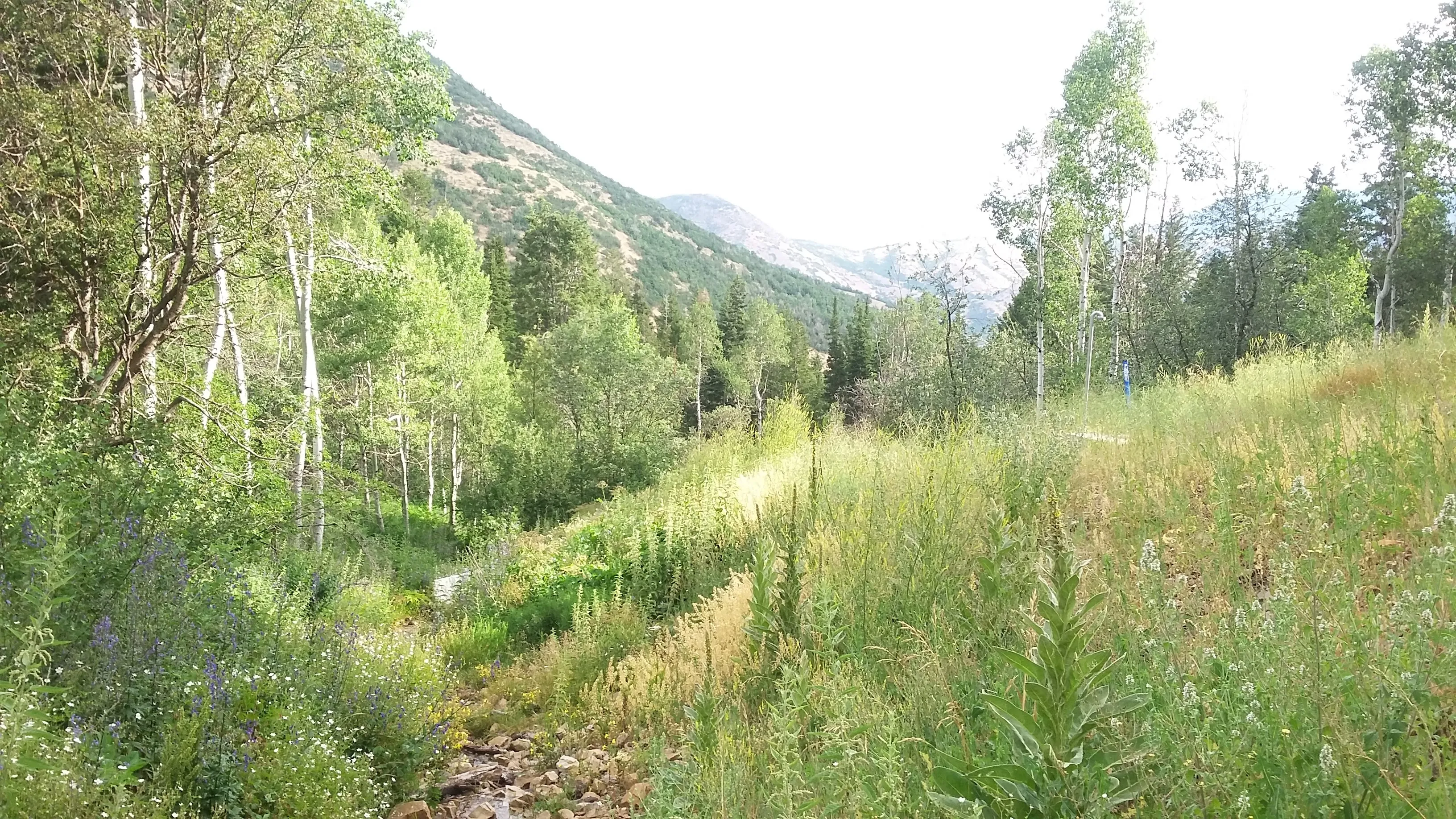 Hike Big Springs Hollow Loop