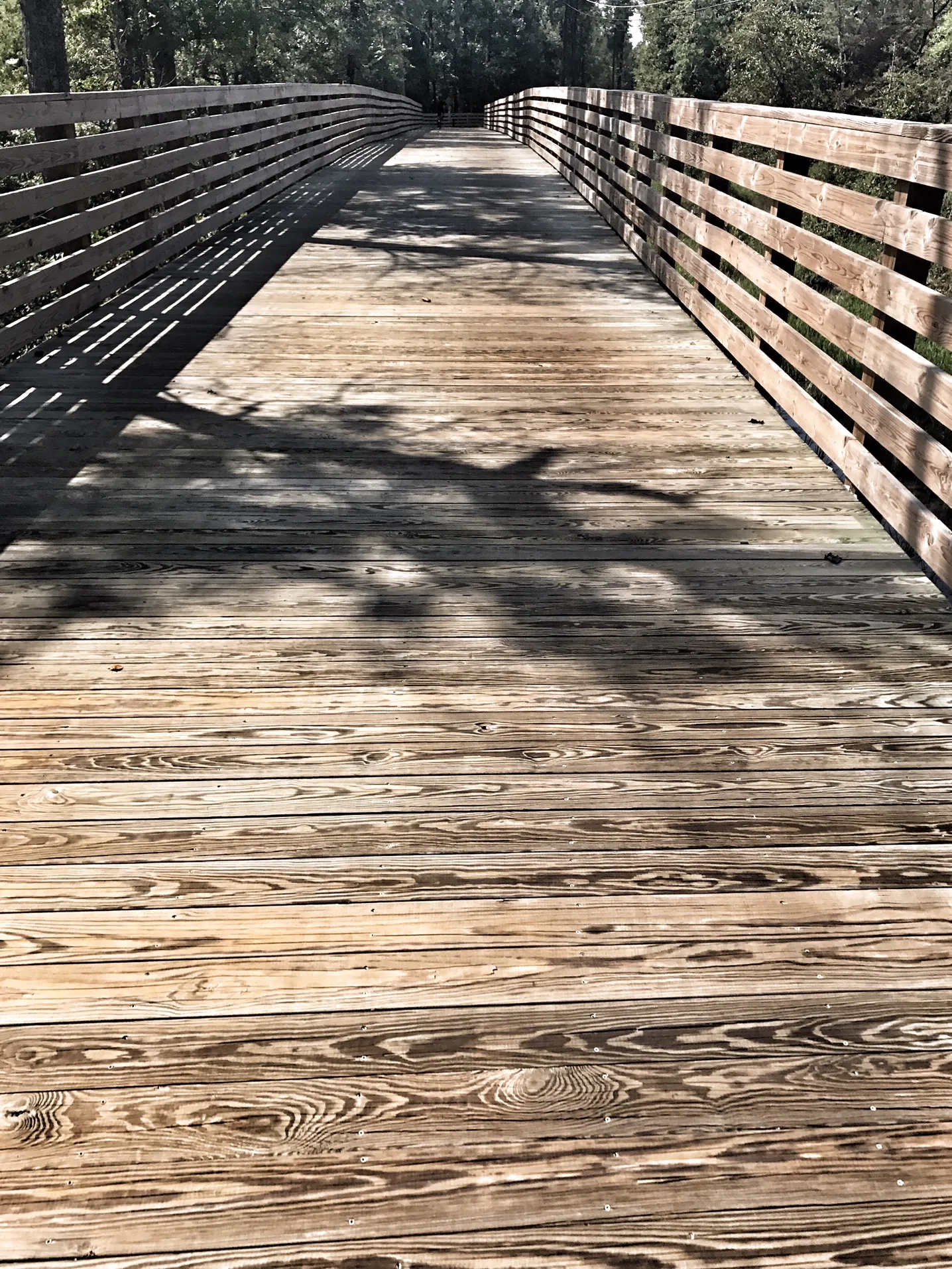 Bike the Virginia Capital Trail