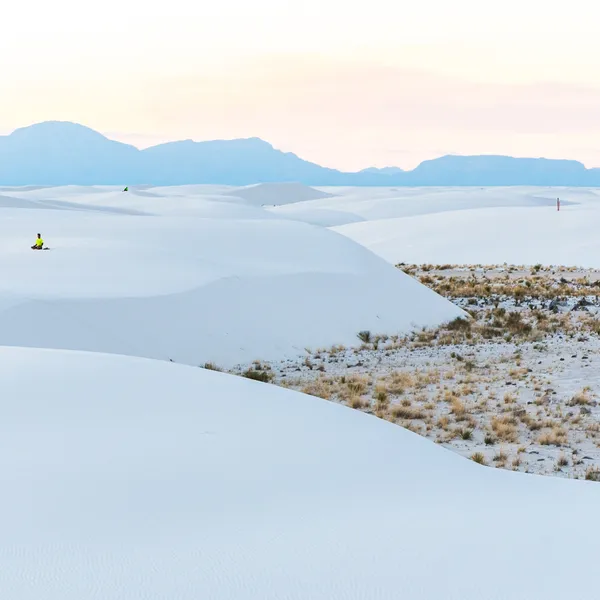 A Night Under the Stars at White Sands National Monument