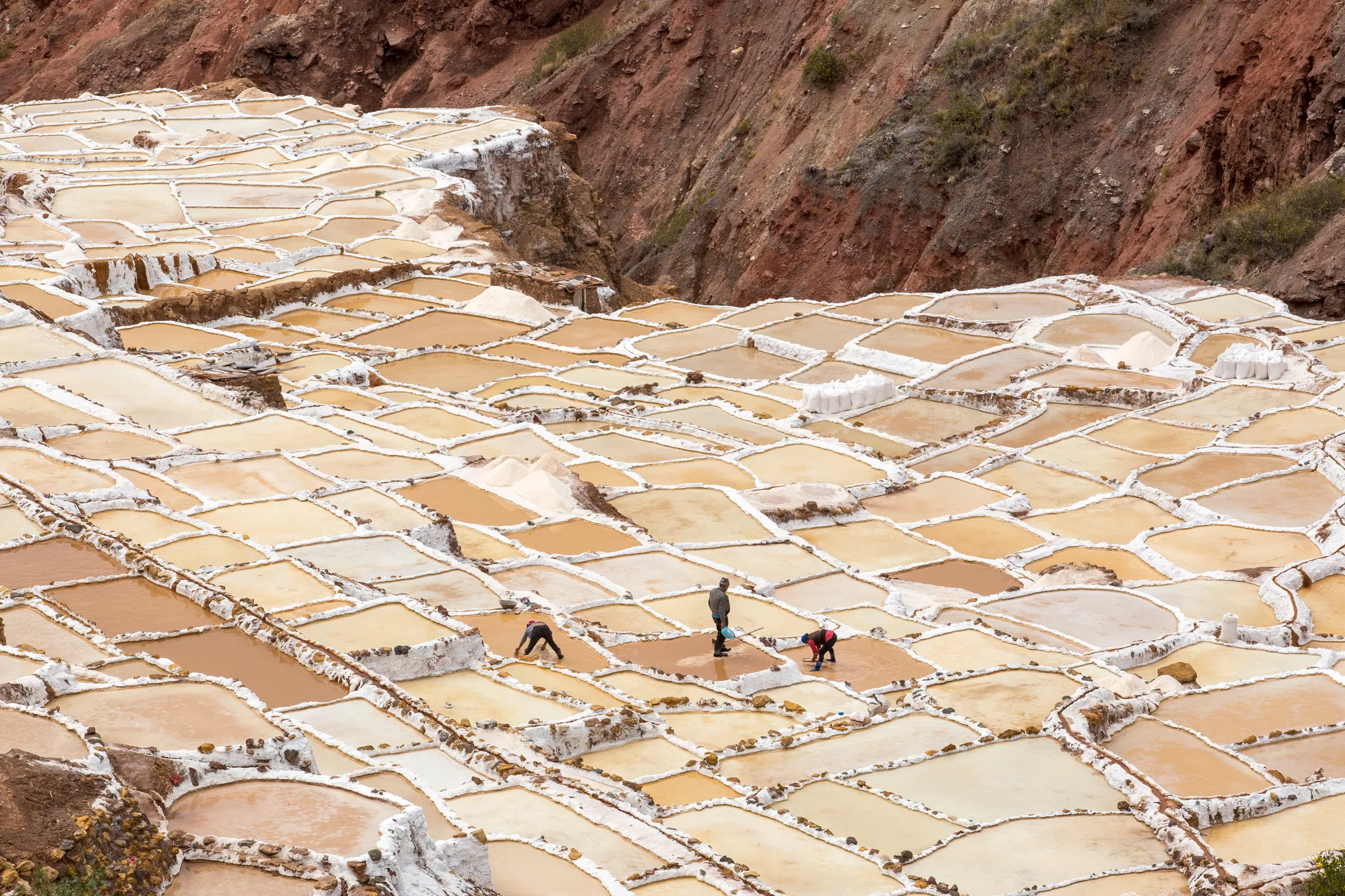 Photograph Salinas de Maras