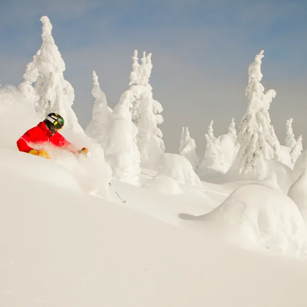4 Exercises to Prepare You for Ski Season