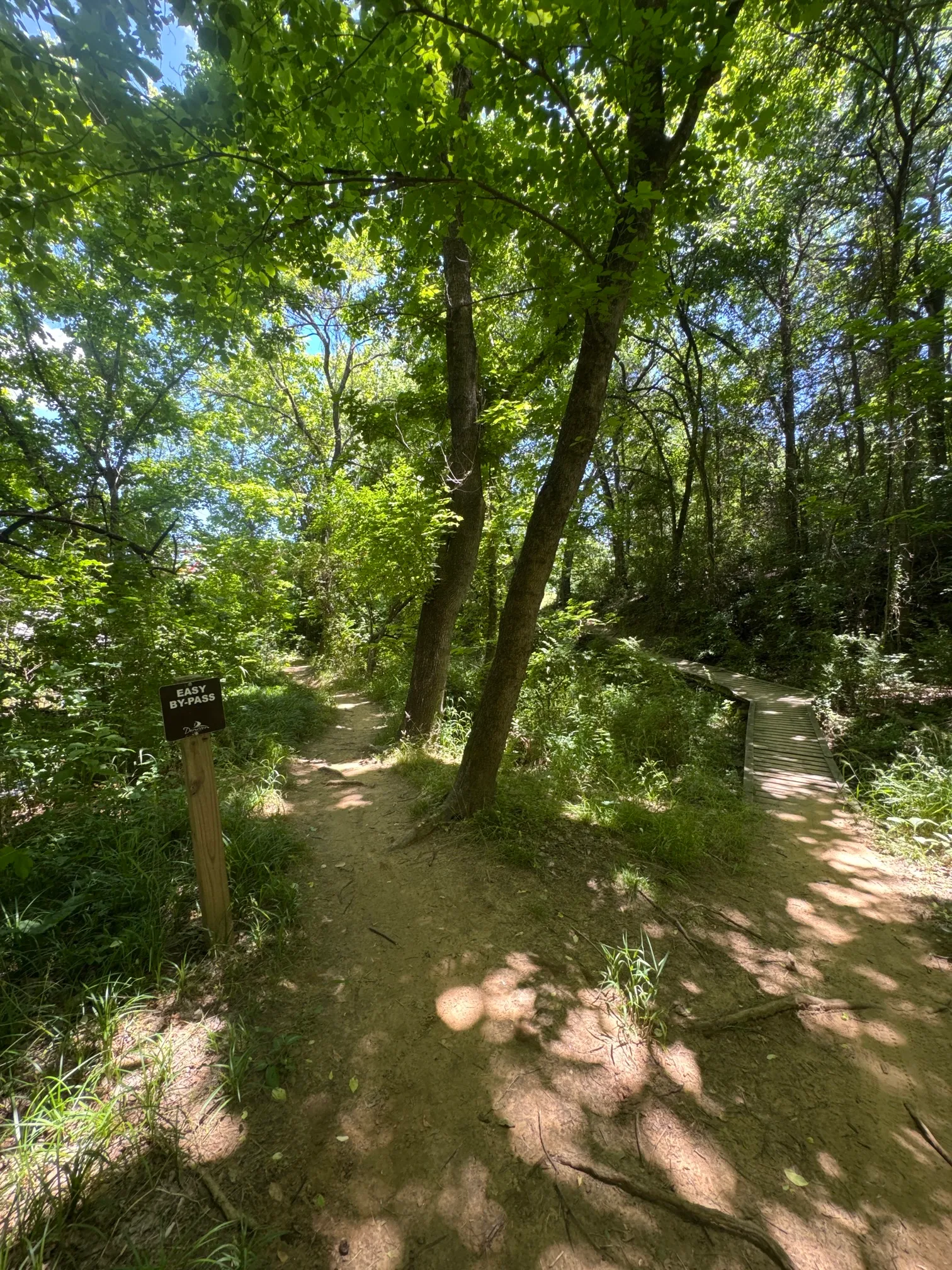 Waterloo Cave Trail