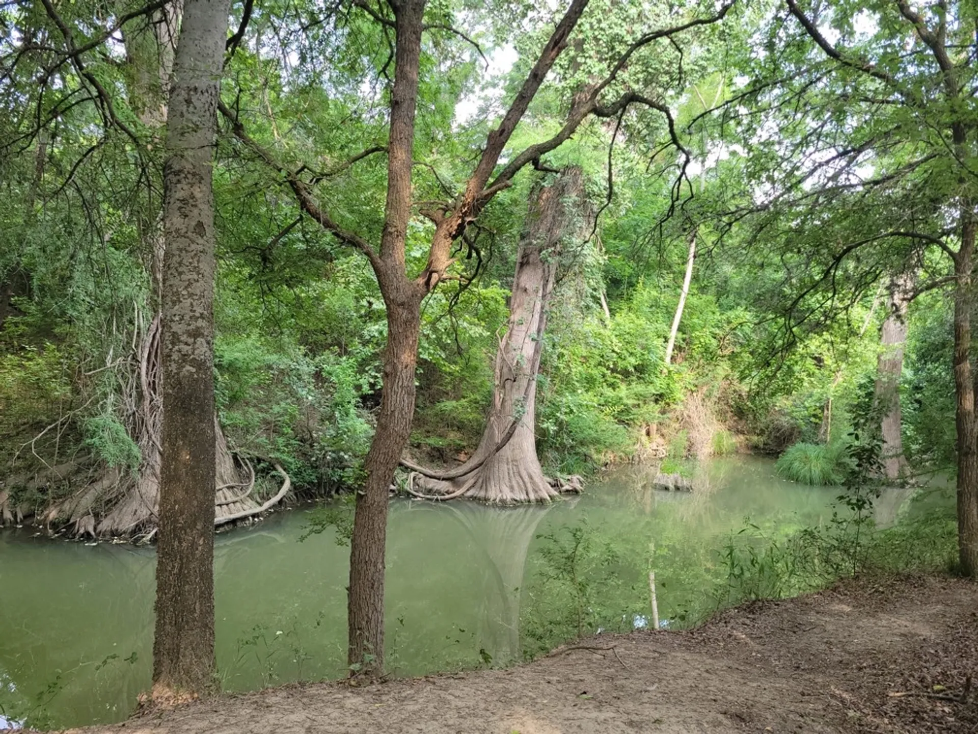 El Camino And Rio Medina Loop Trail