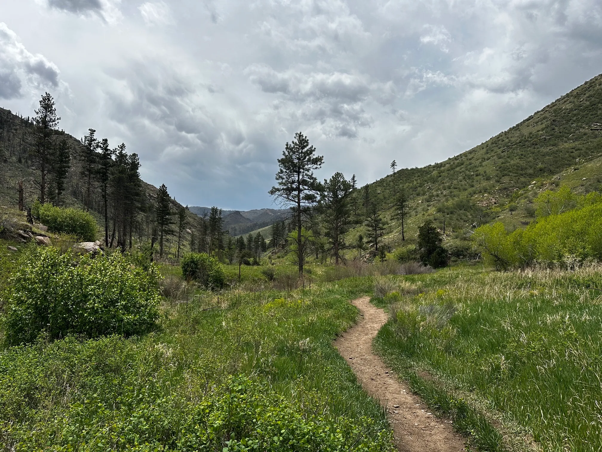 Hewlett Gulch Trail