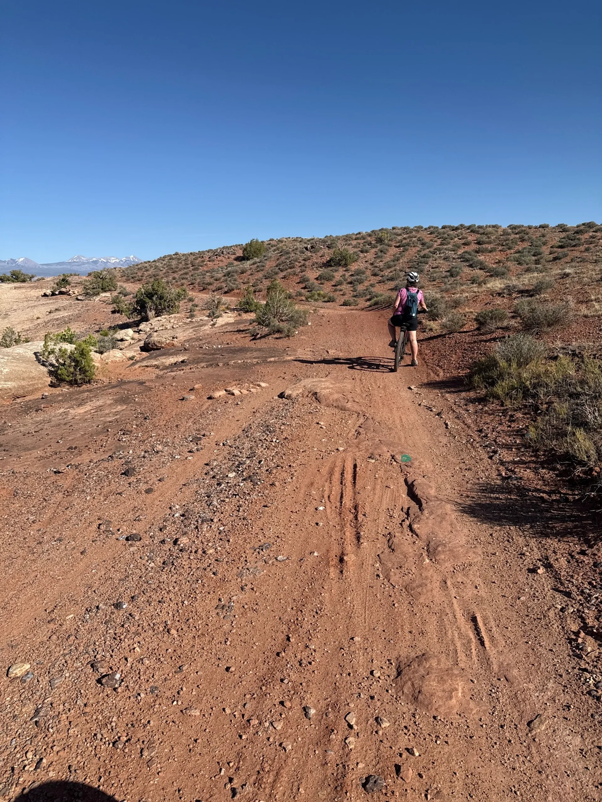 Bar M Loop Trail
