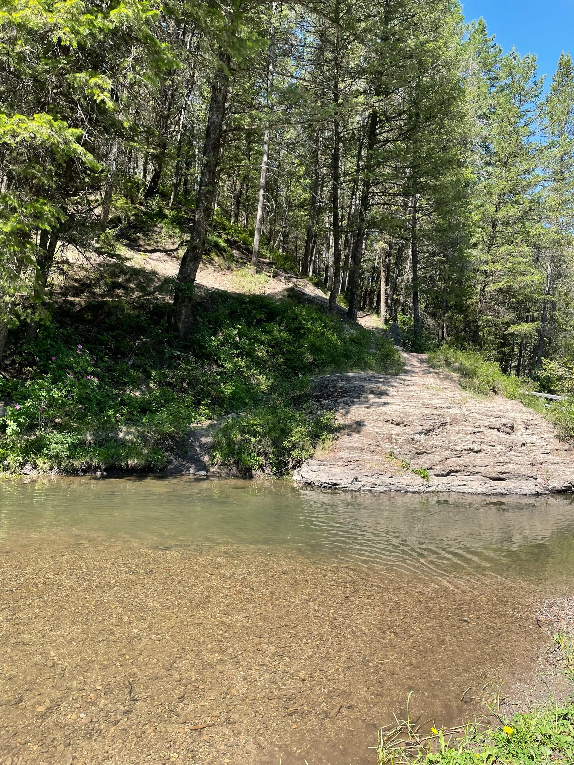 Webster’s Dam/Manmade Falls