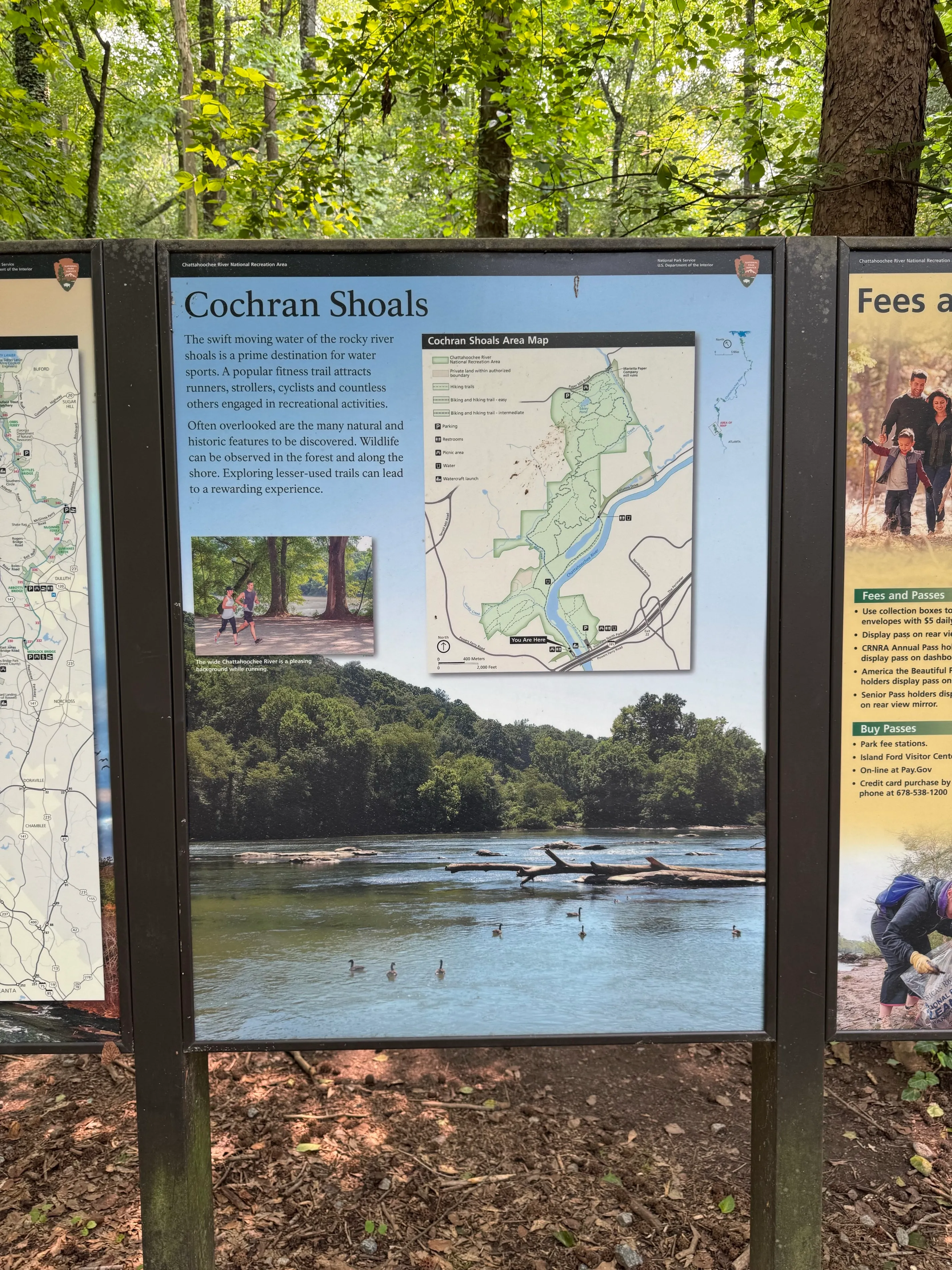 Cochran Shoals Trail from Interstate North Trailhead