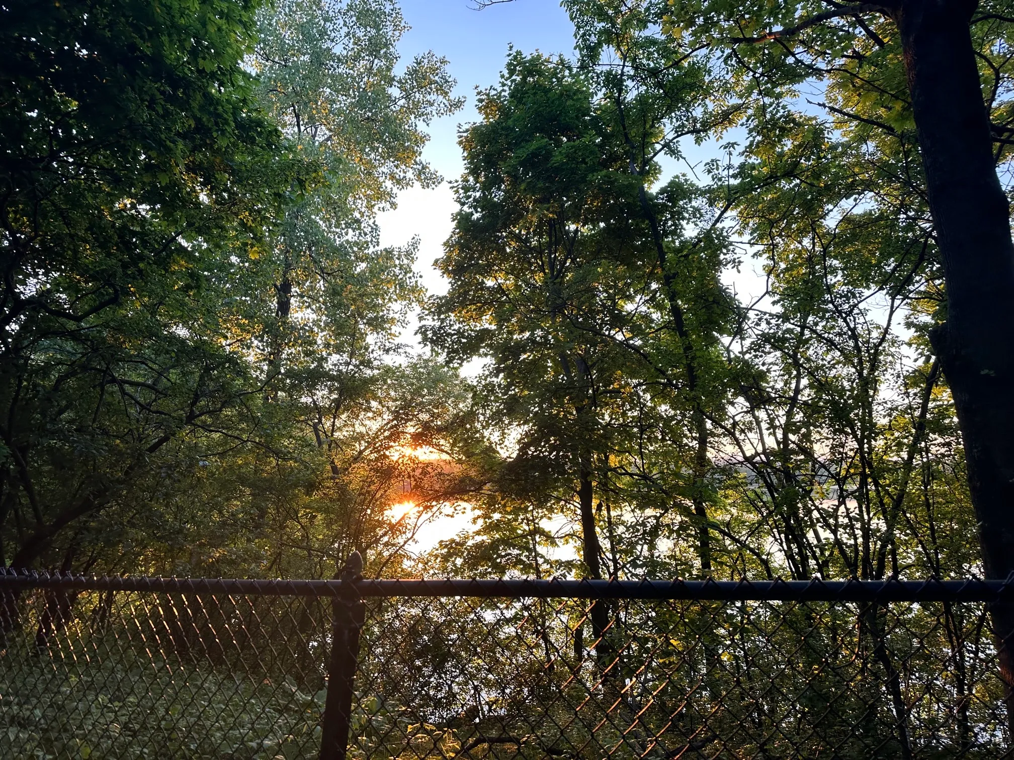 Fresh Pond Reservation Loop Trail