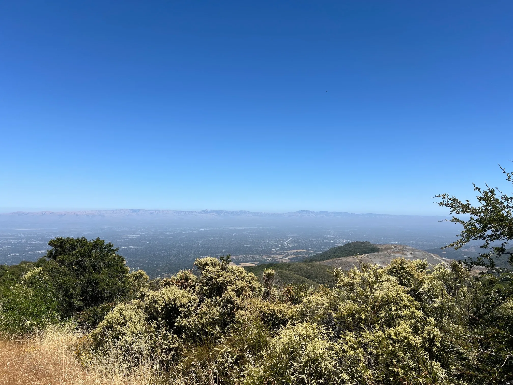 Black Mountain via PG&E, Quarry and Black Mountain Trail