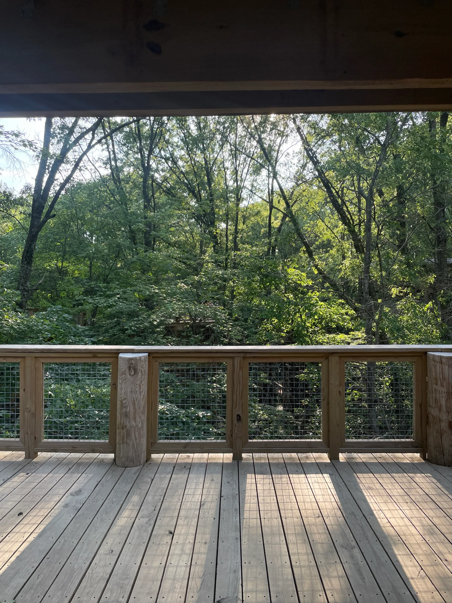 Blacklick Woods Canopy Walk