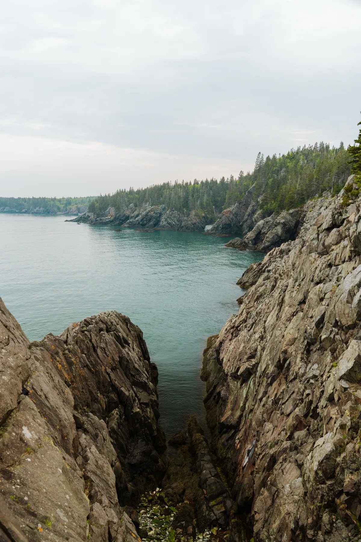 Fairy Head Loop