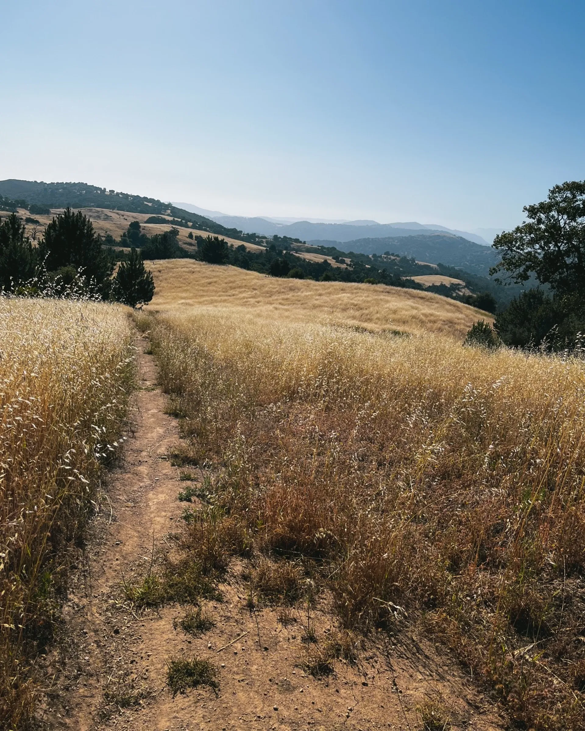 Upper Santa Ysabel Creek Trail