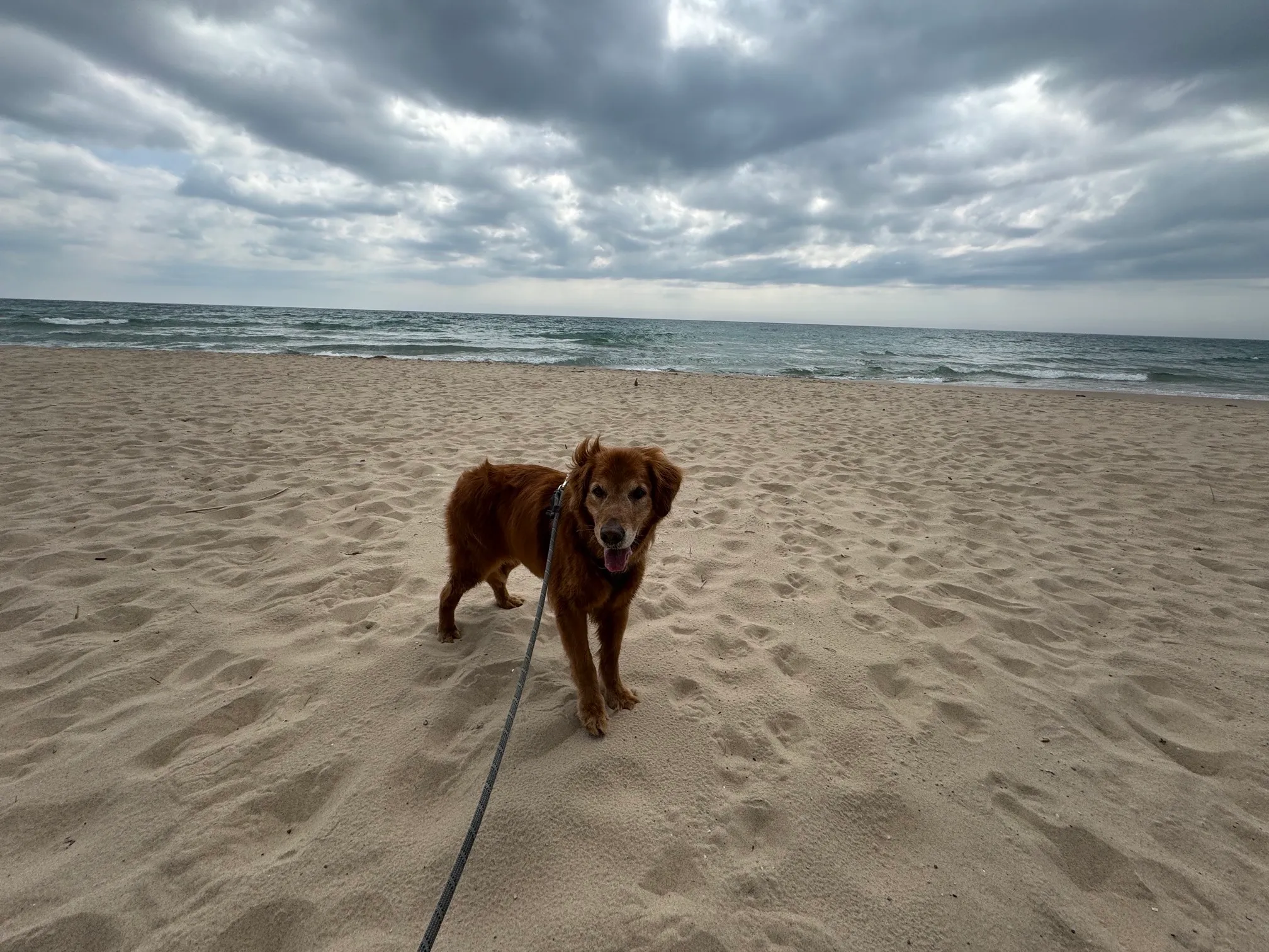Green Point Dunes Nature Preserve