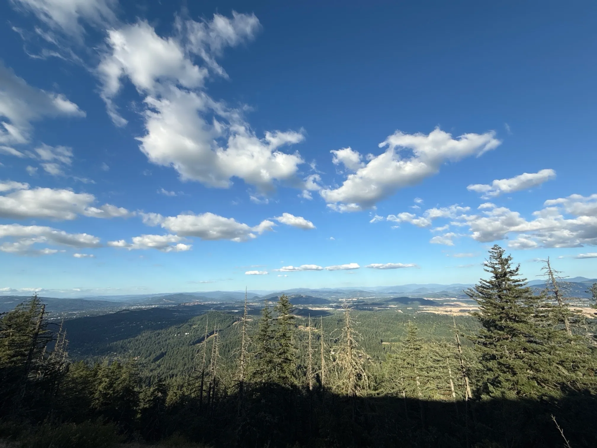 Spencer Butte from Fox Hollow Road