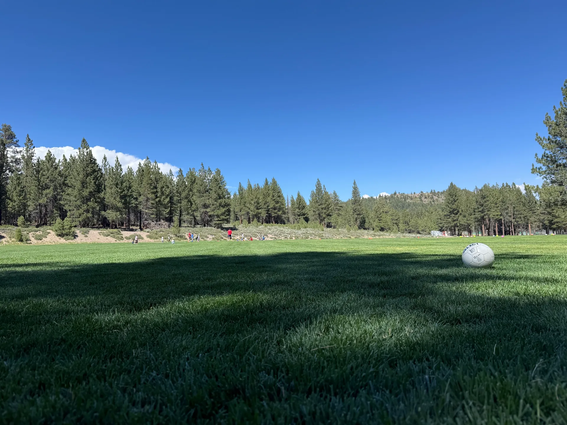 Shady Rest Park