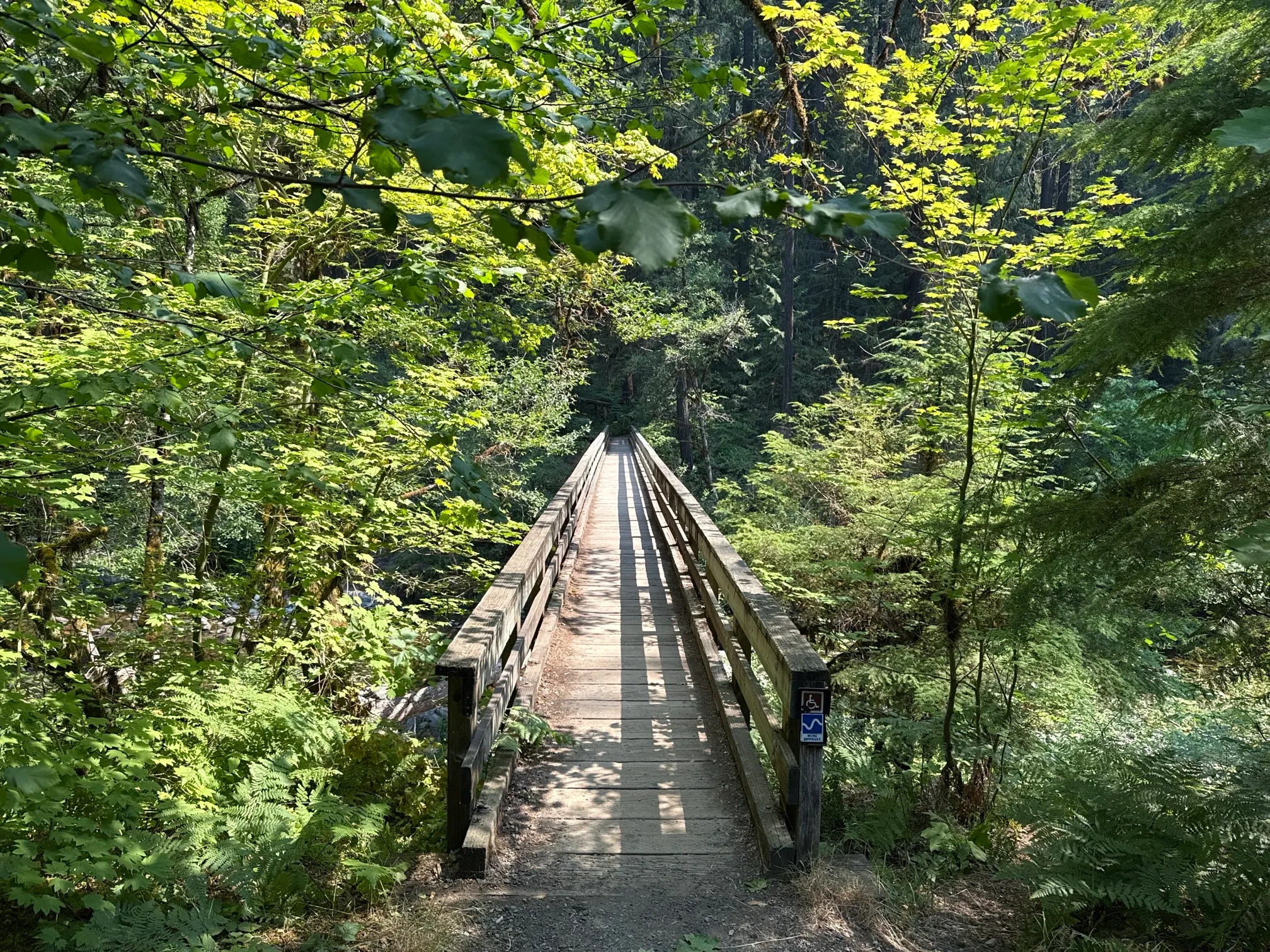 Trestle Creek Falls via Brice Creek Trailhead