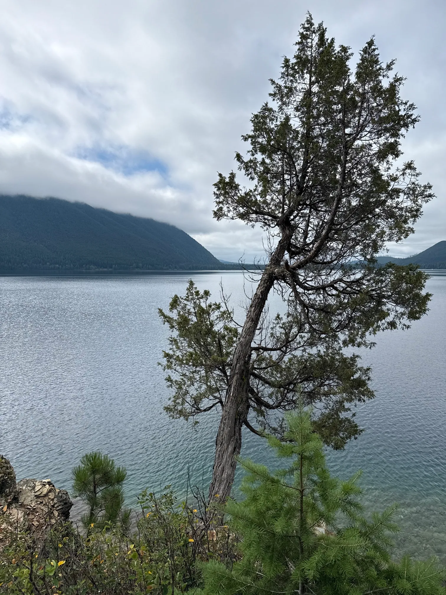 Rocky Point Trail