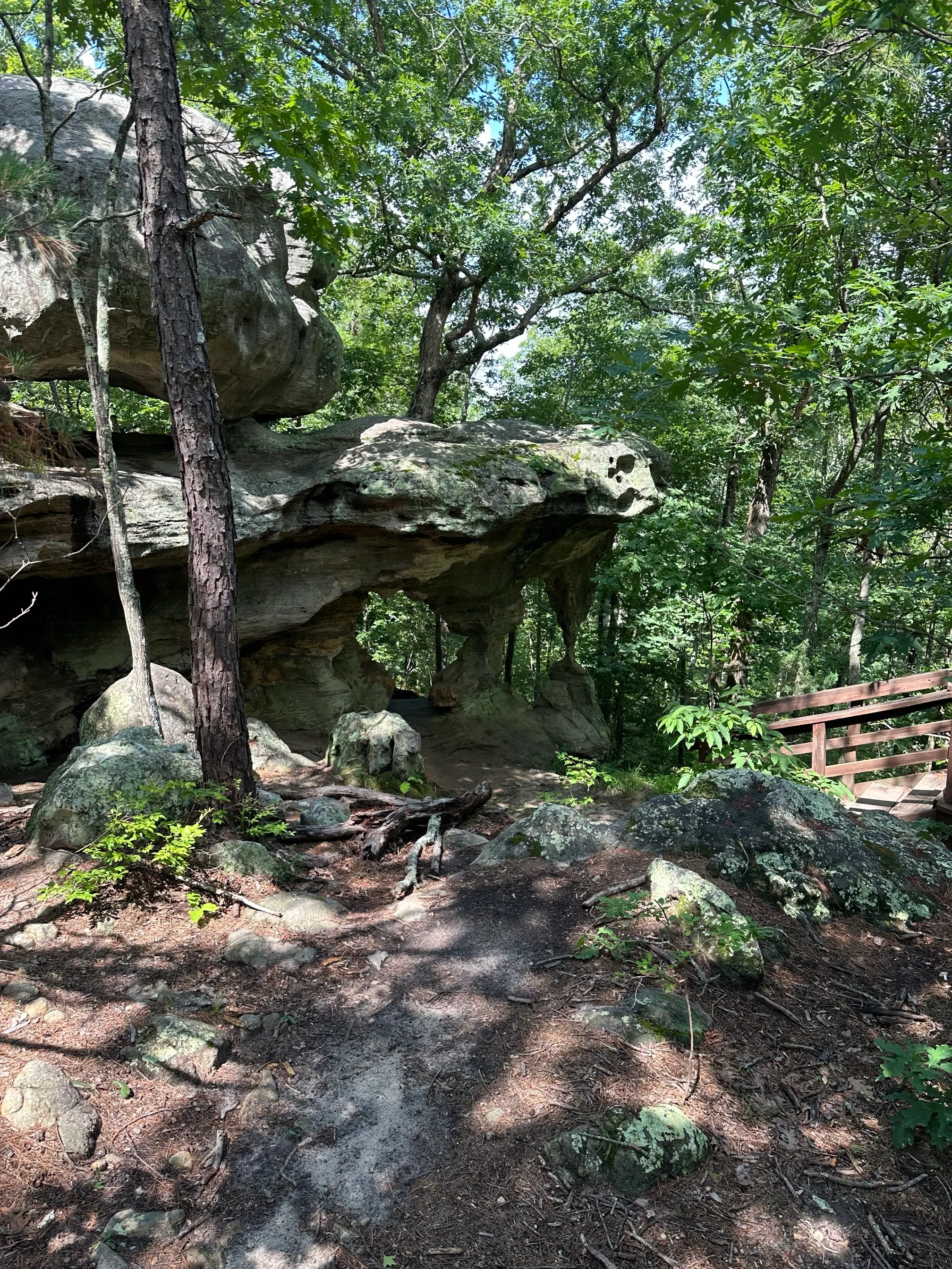 Pickle Springs Natural Area