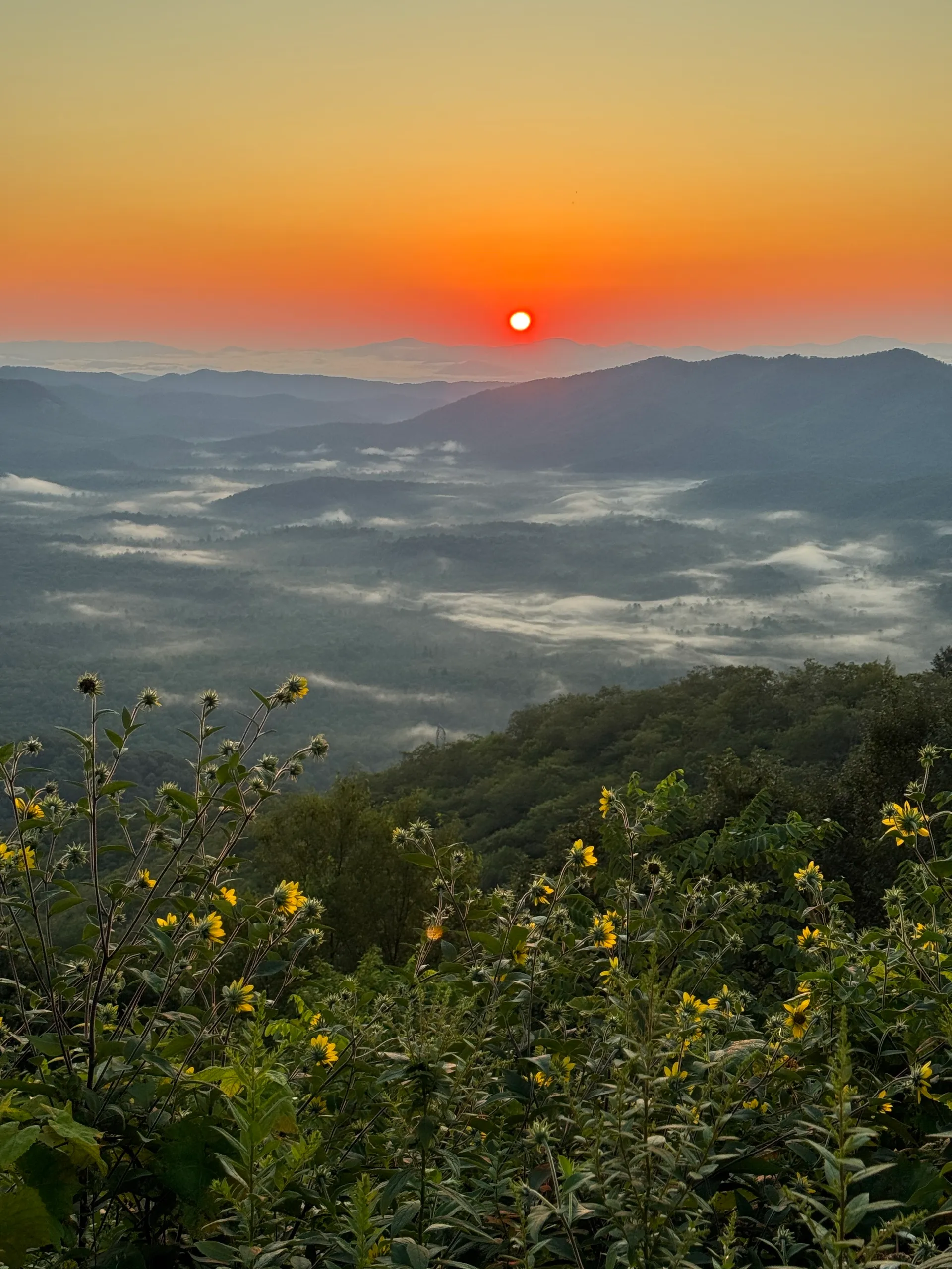 Pounding Mill Overlook