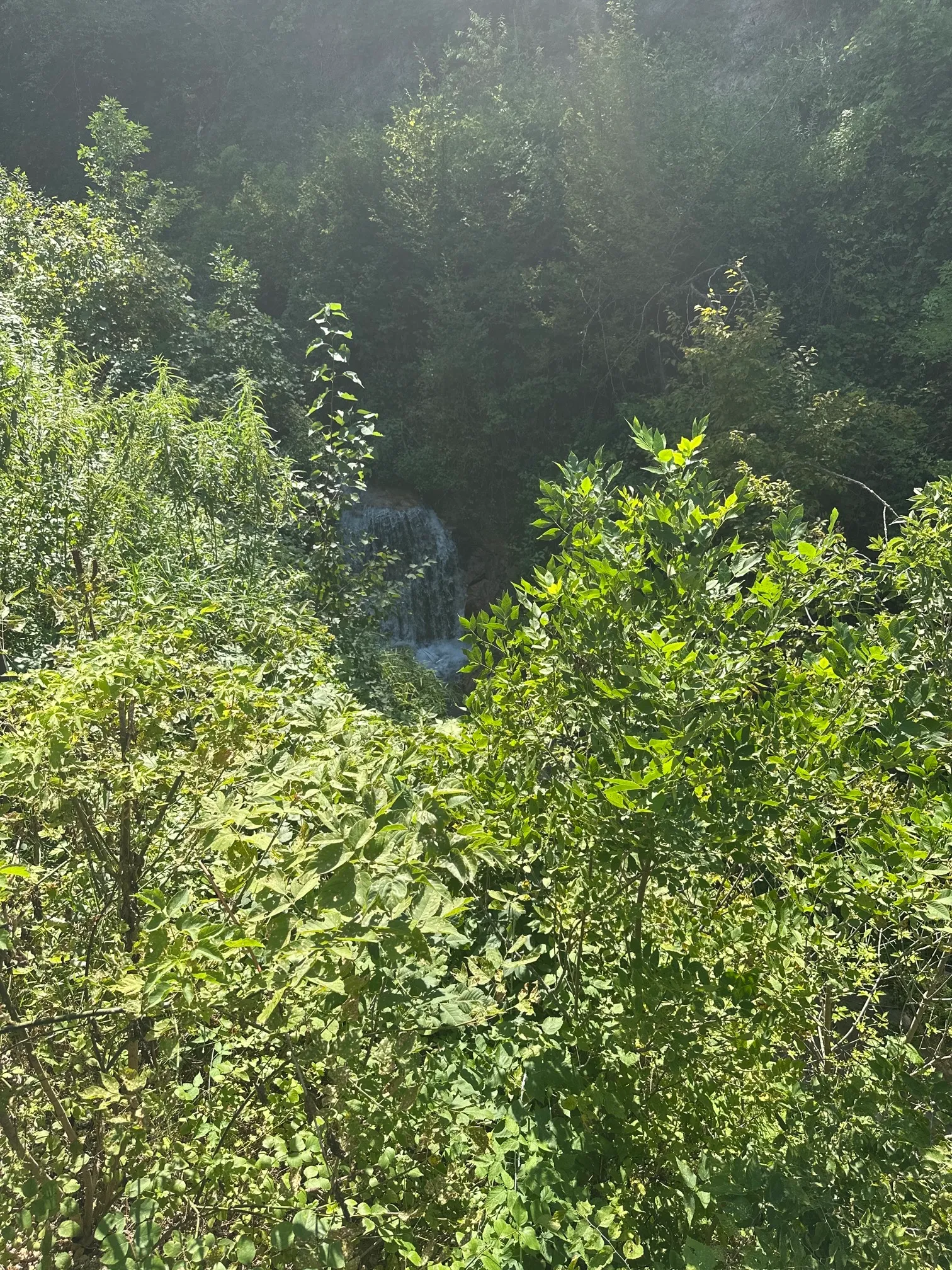 Hike Smith Falls Trails