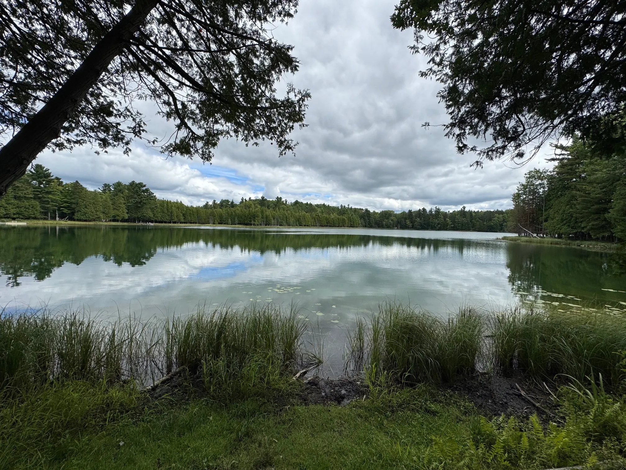 Bass Lake Loop