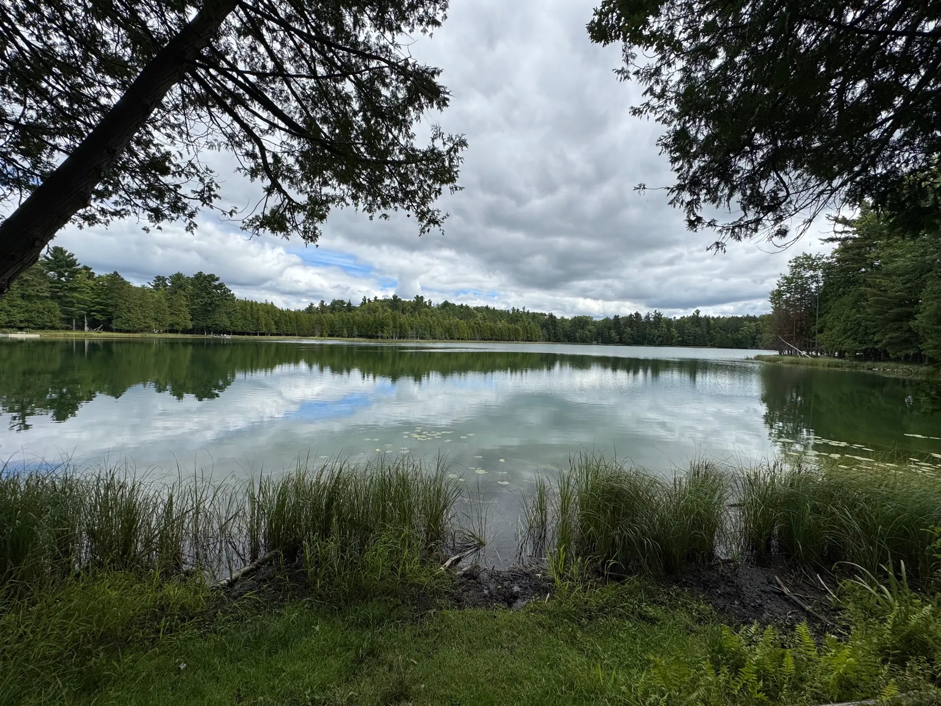 Bass Lake Loop