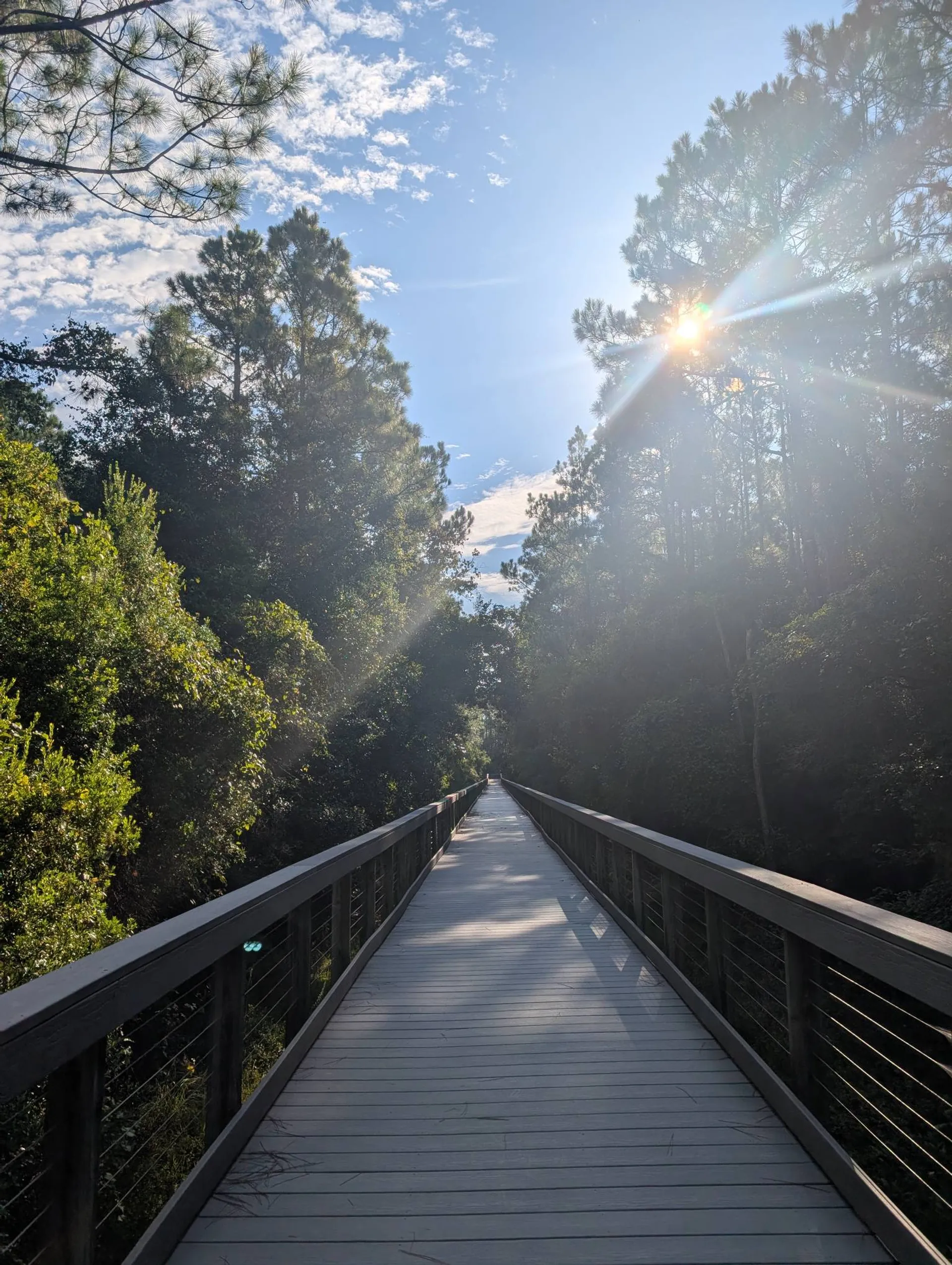 Bayou Marcus Birding Trail