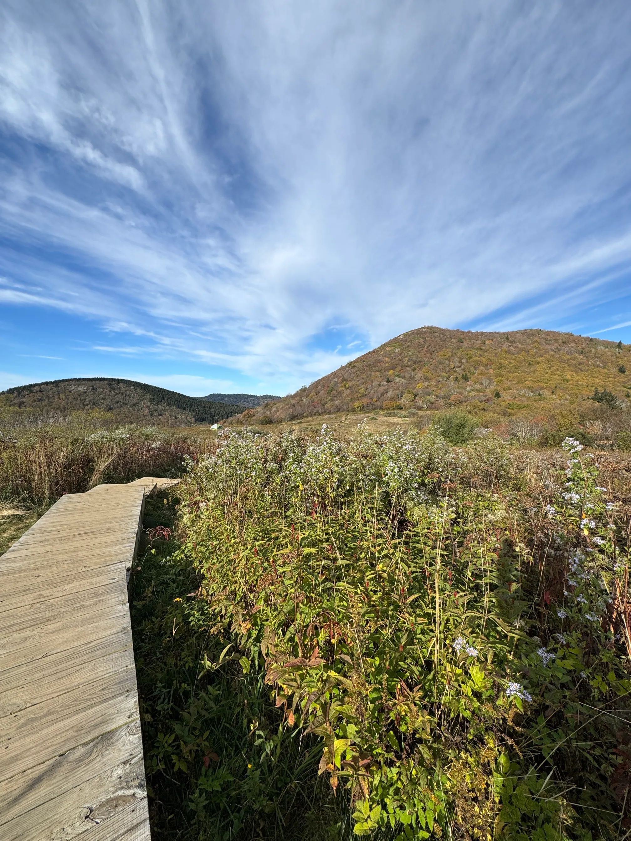 Sam Knob Trail