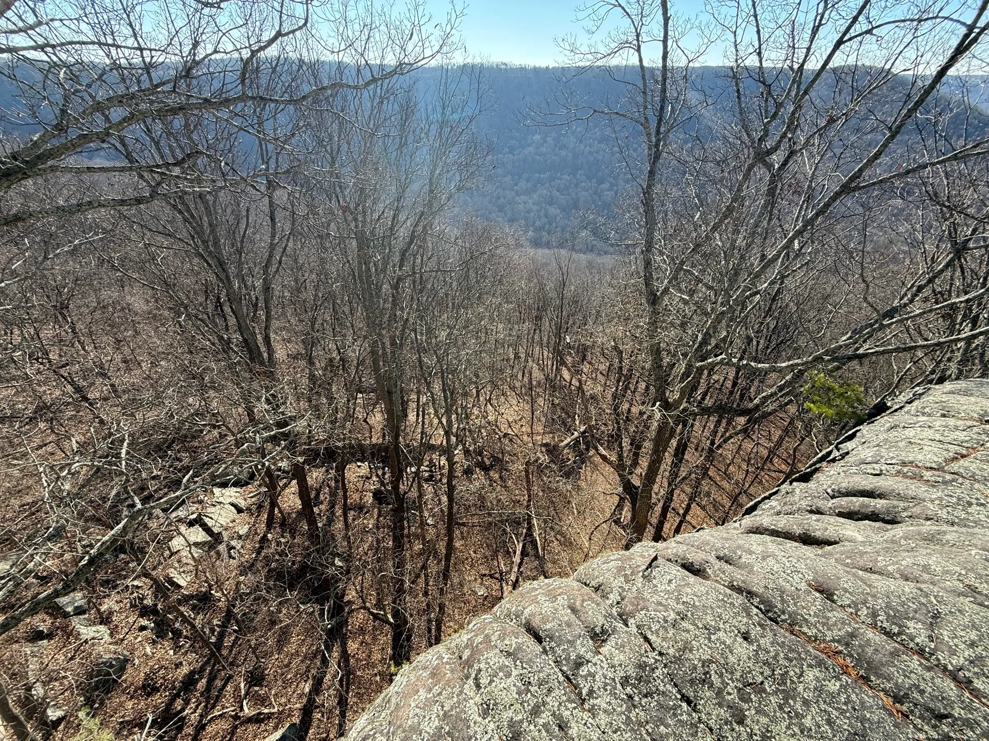 Denny Cove Overlook Trail