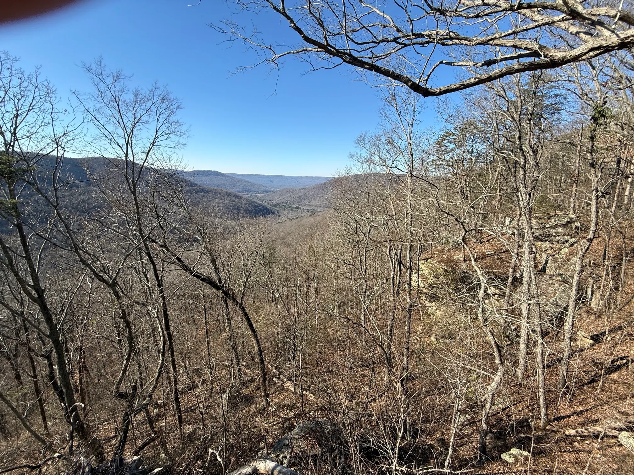 Denny Cove Waterfall Trail