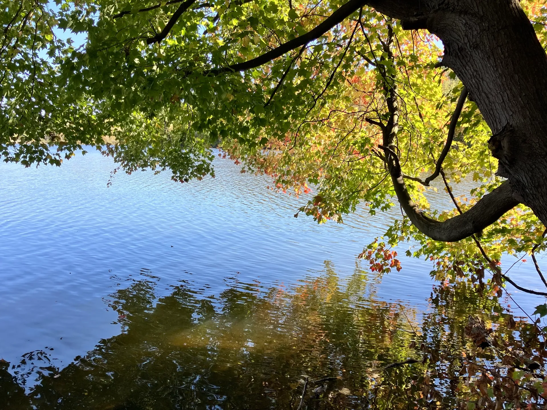 Peters Lake Loop