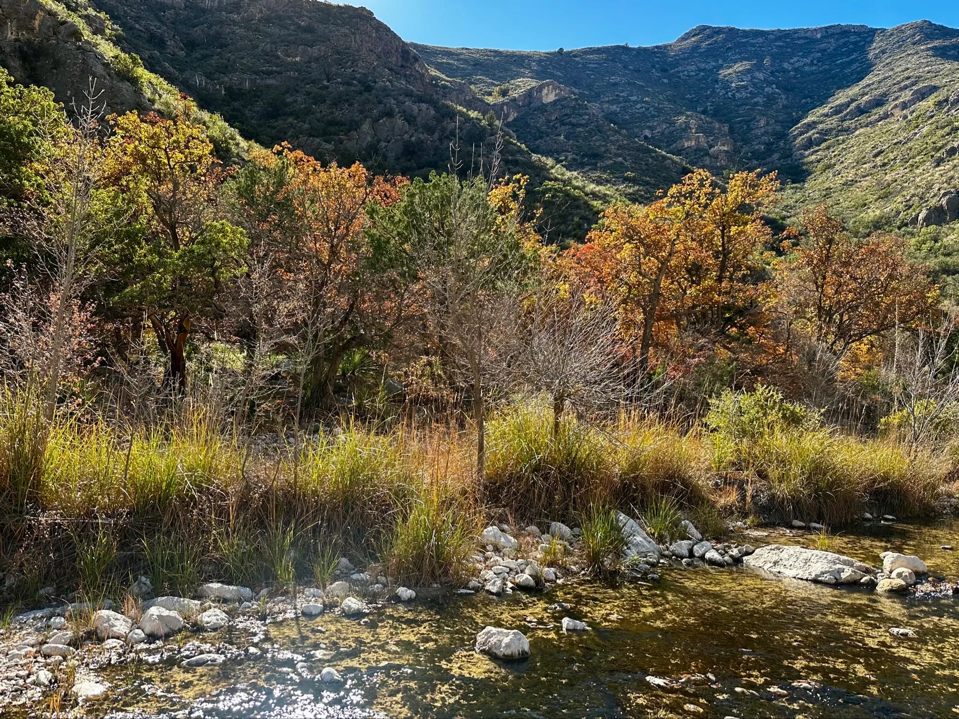 Pratt Lodge Via McKittrick Canyon Trail