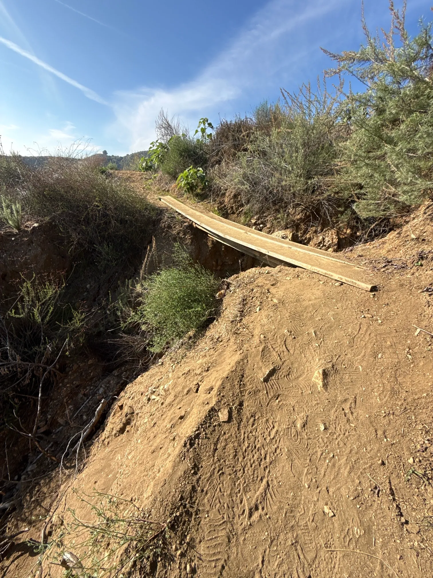 Poop Out Trail