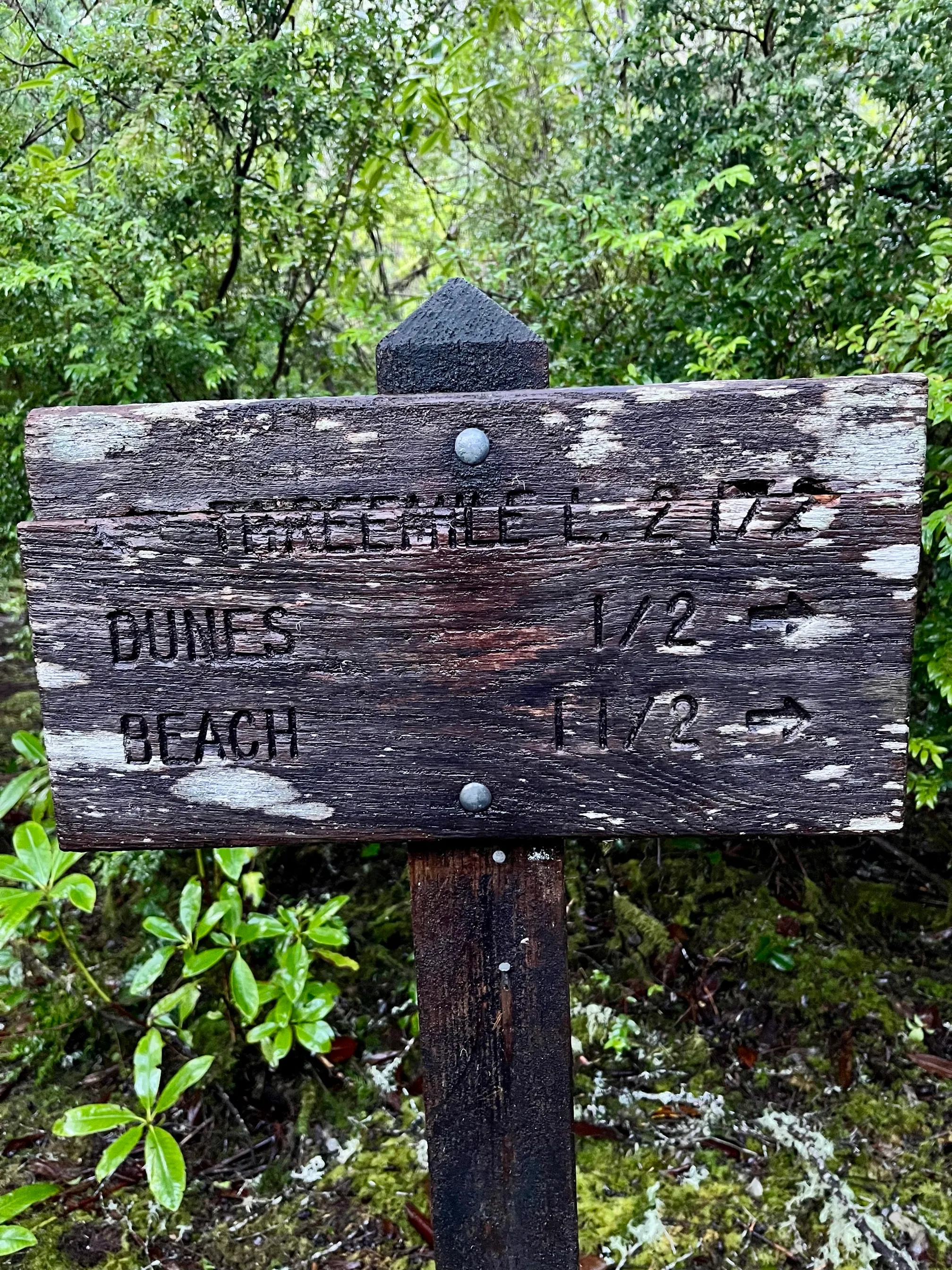 Threemile Lake Trail