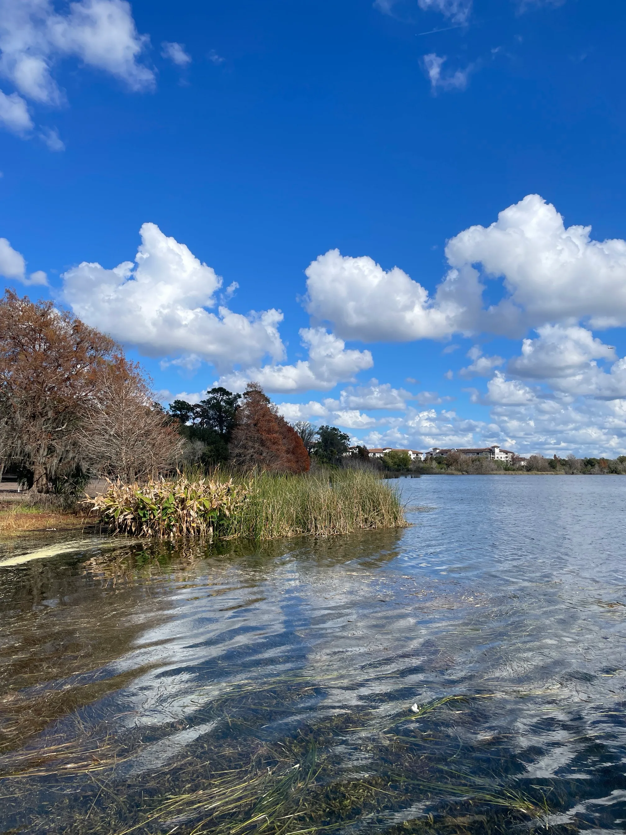 Lake Baldwin Loop