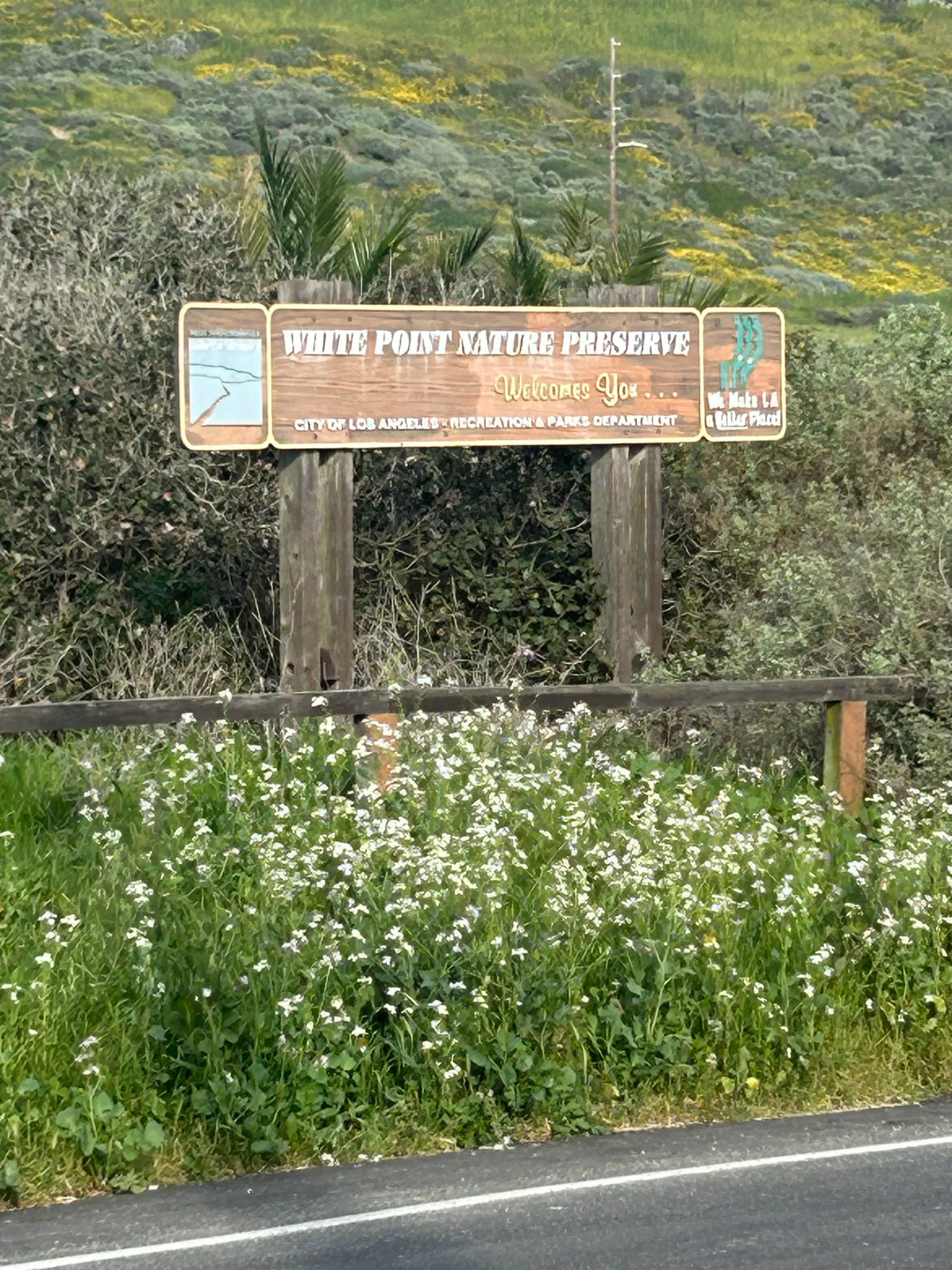 White Point Trail