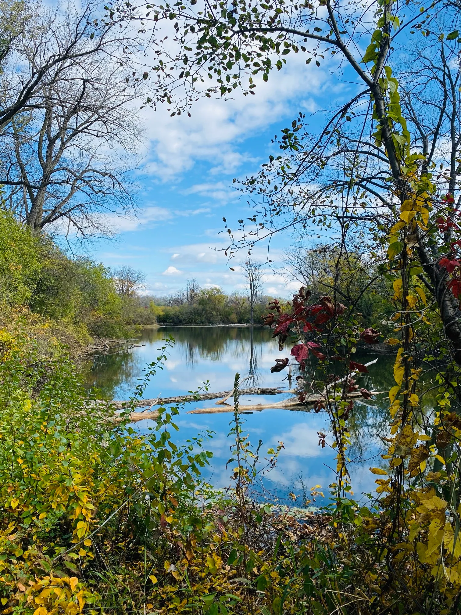 Pratts Wayne Woods Loop Trail