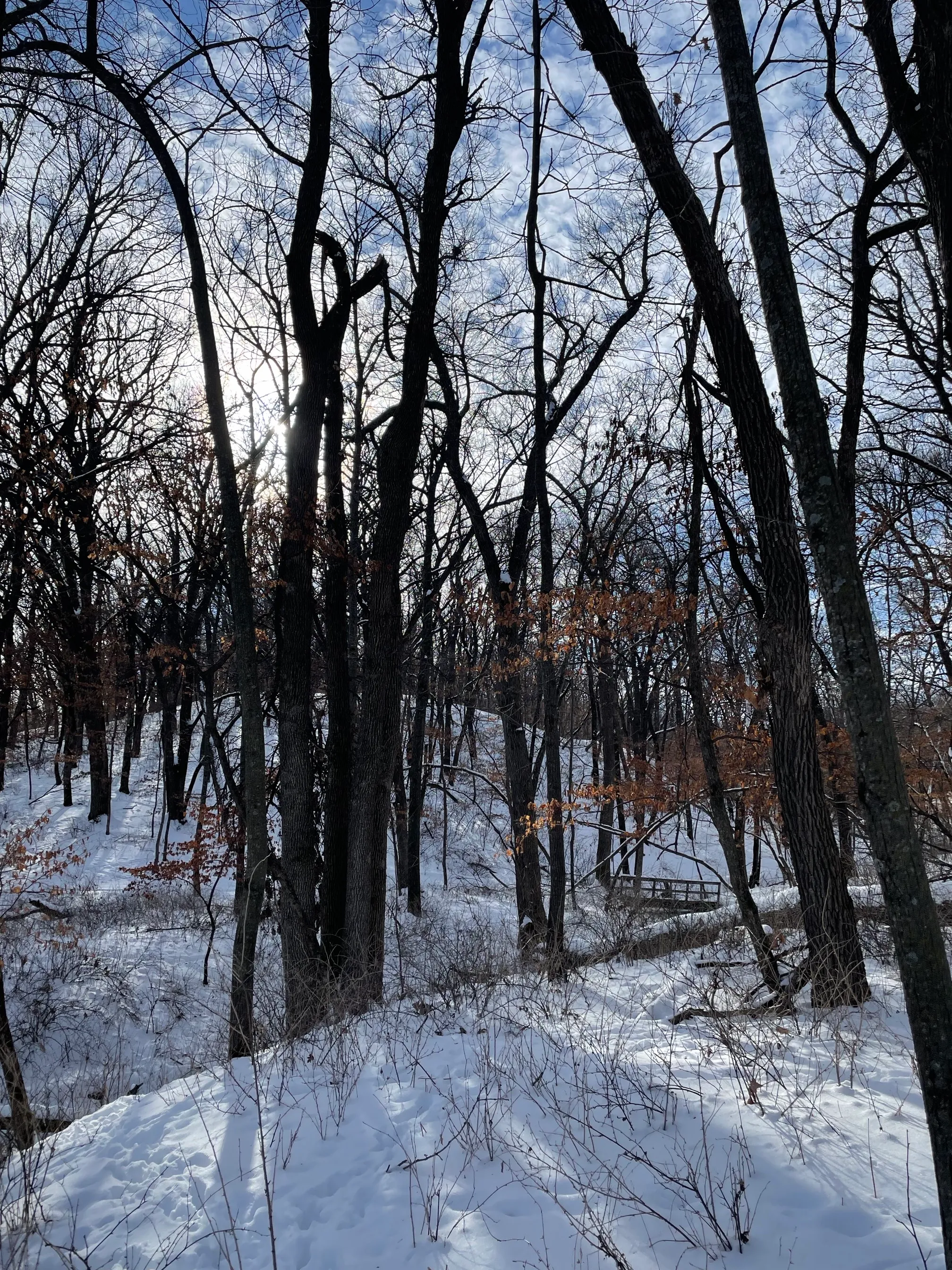 Kilen Woods State Park