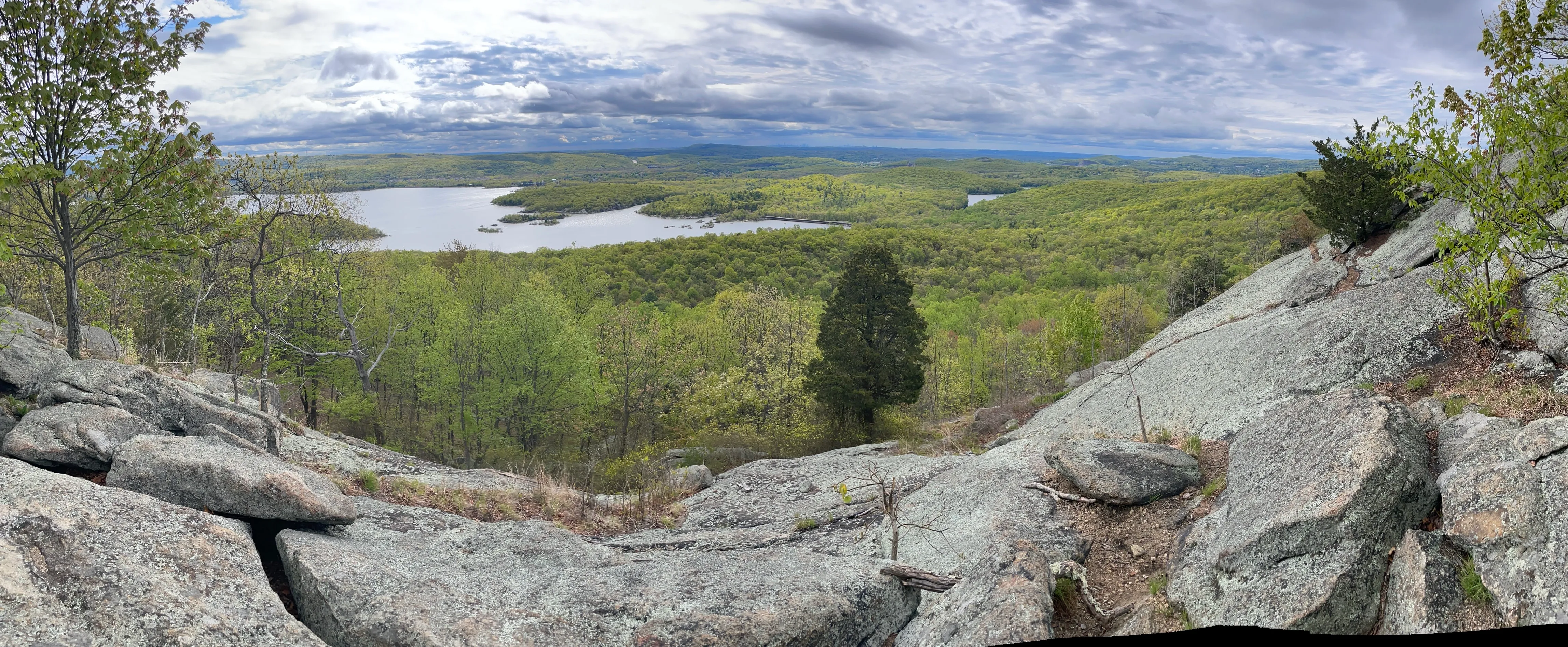 Norvin Green State Forest Loop