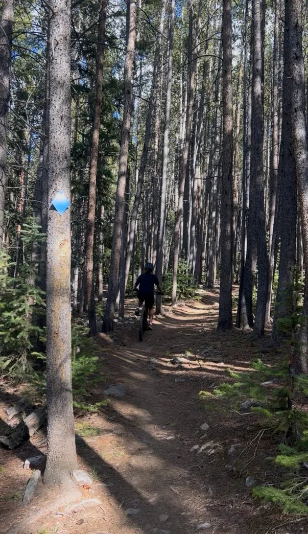 Carter Park to Moonstone to Barney Ford Trail