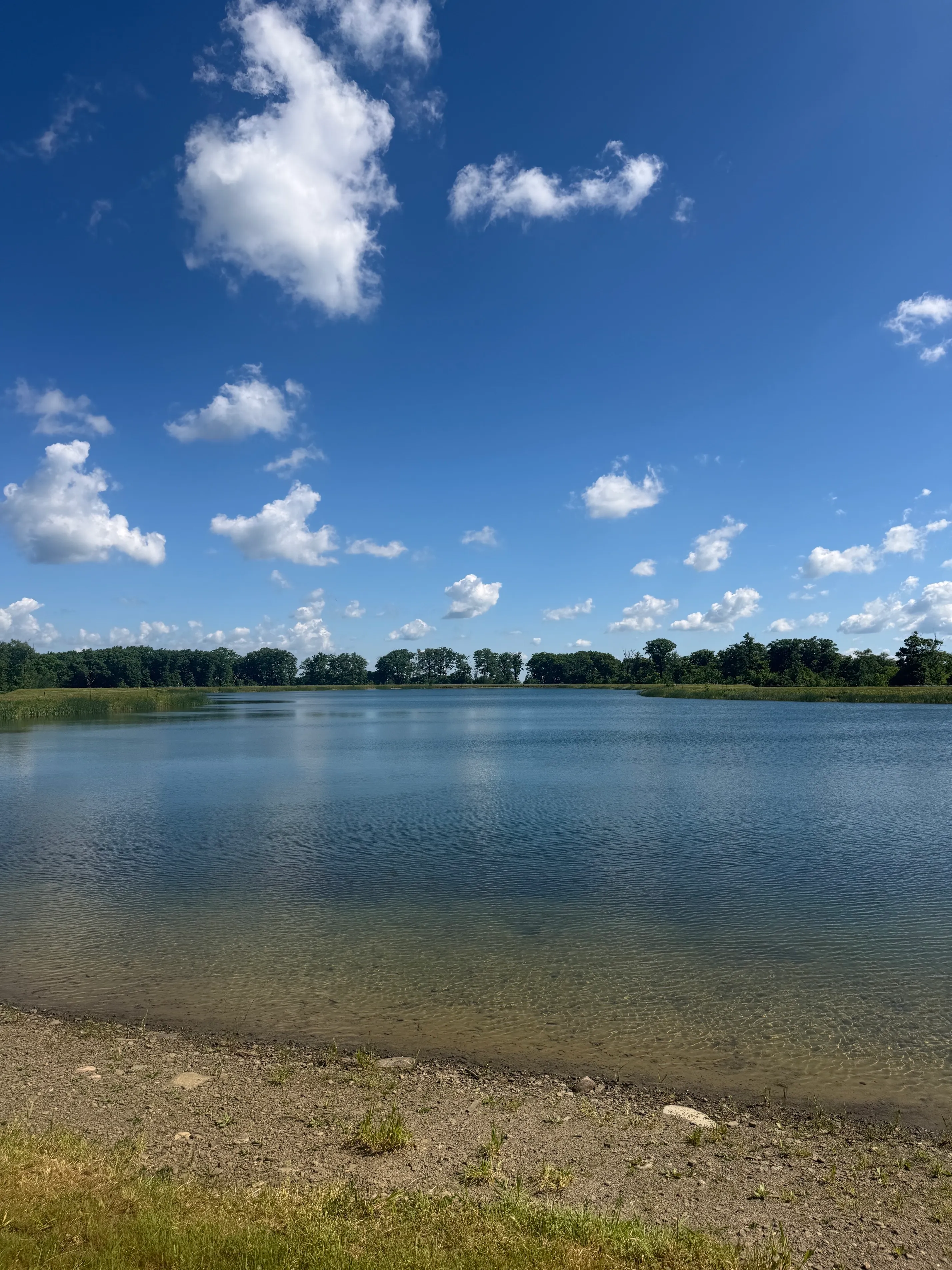Spruce Lake Trail