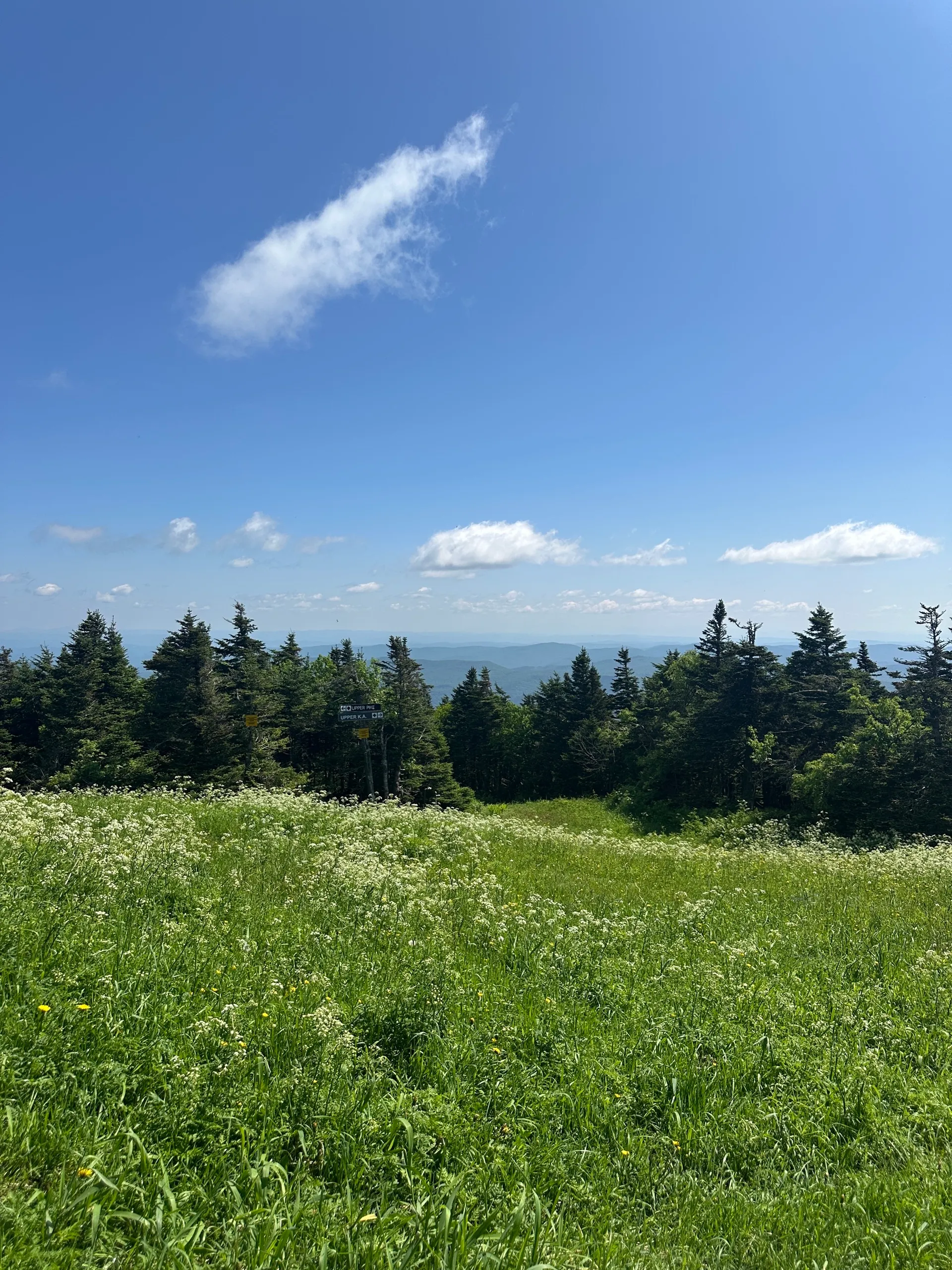 Pico Peak