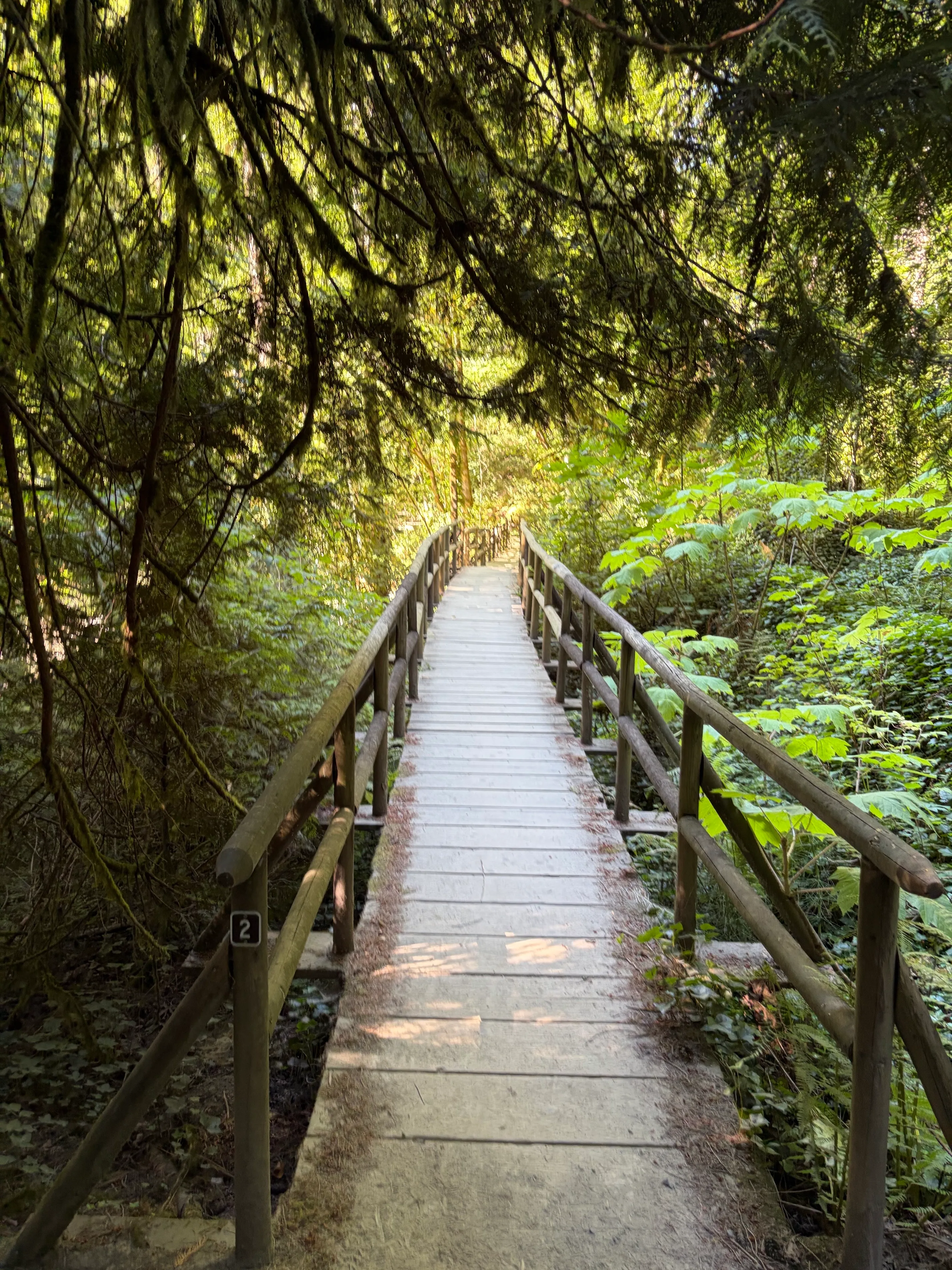 Ellis Cove Loop