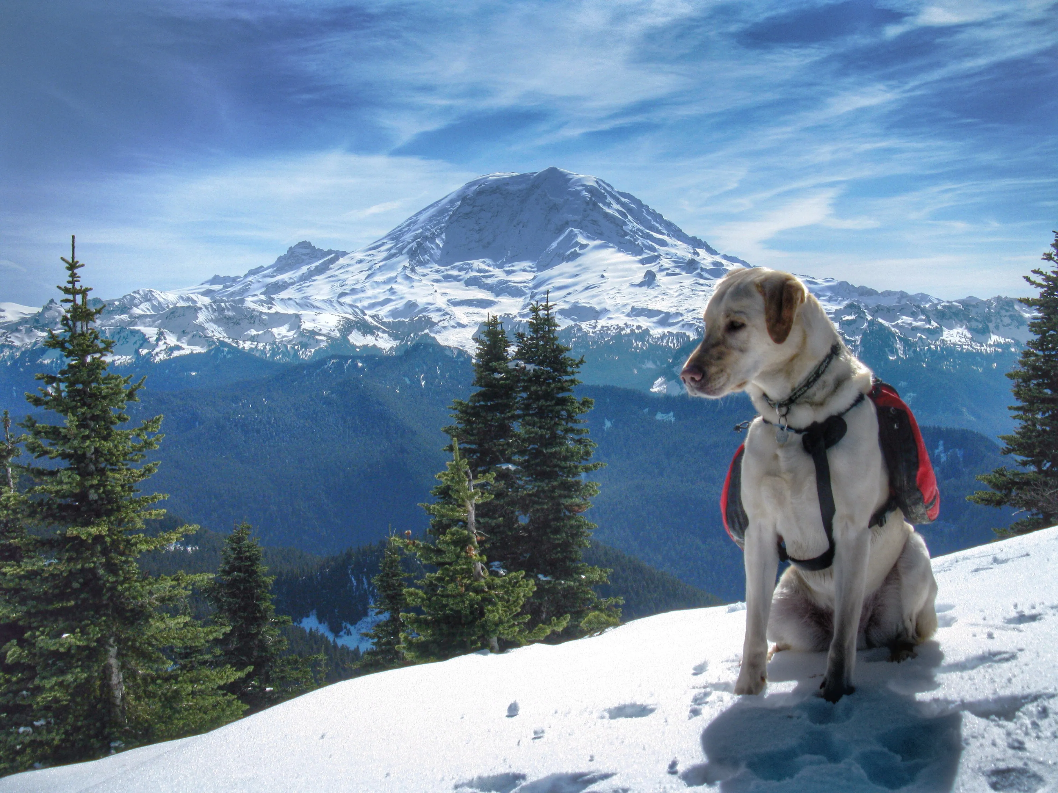 Bearhead Mountain via Summit Lake Trail