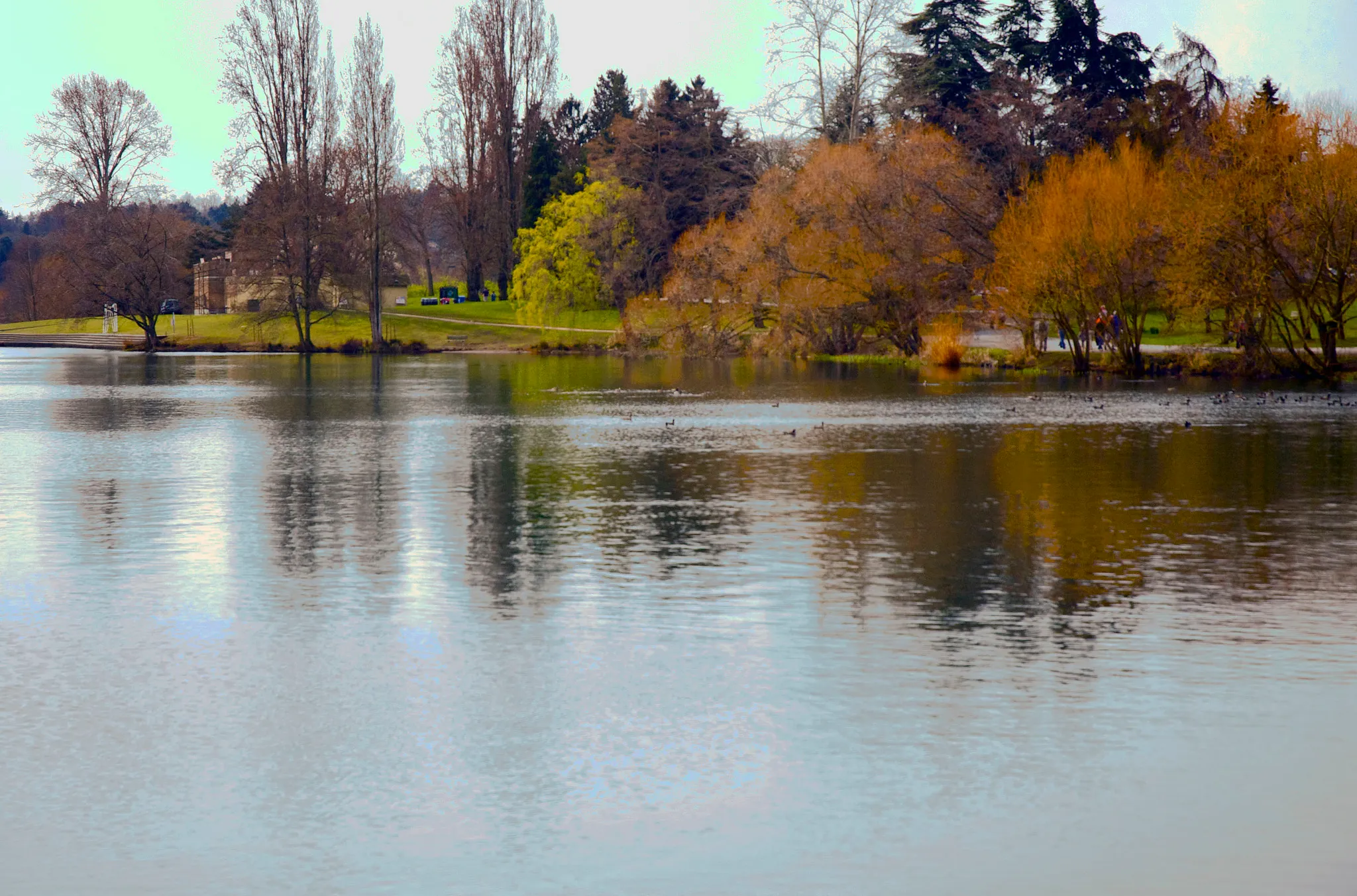 Green Lake Park Loop