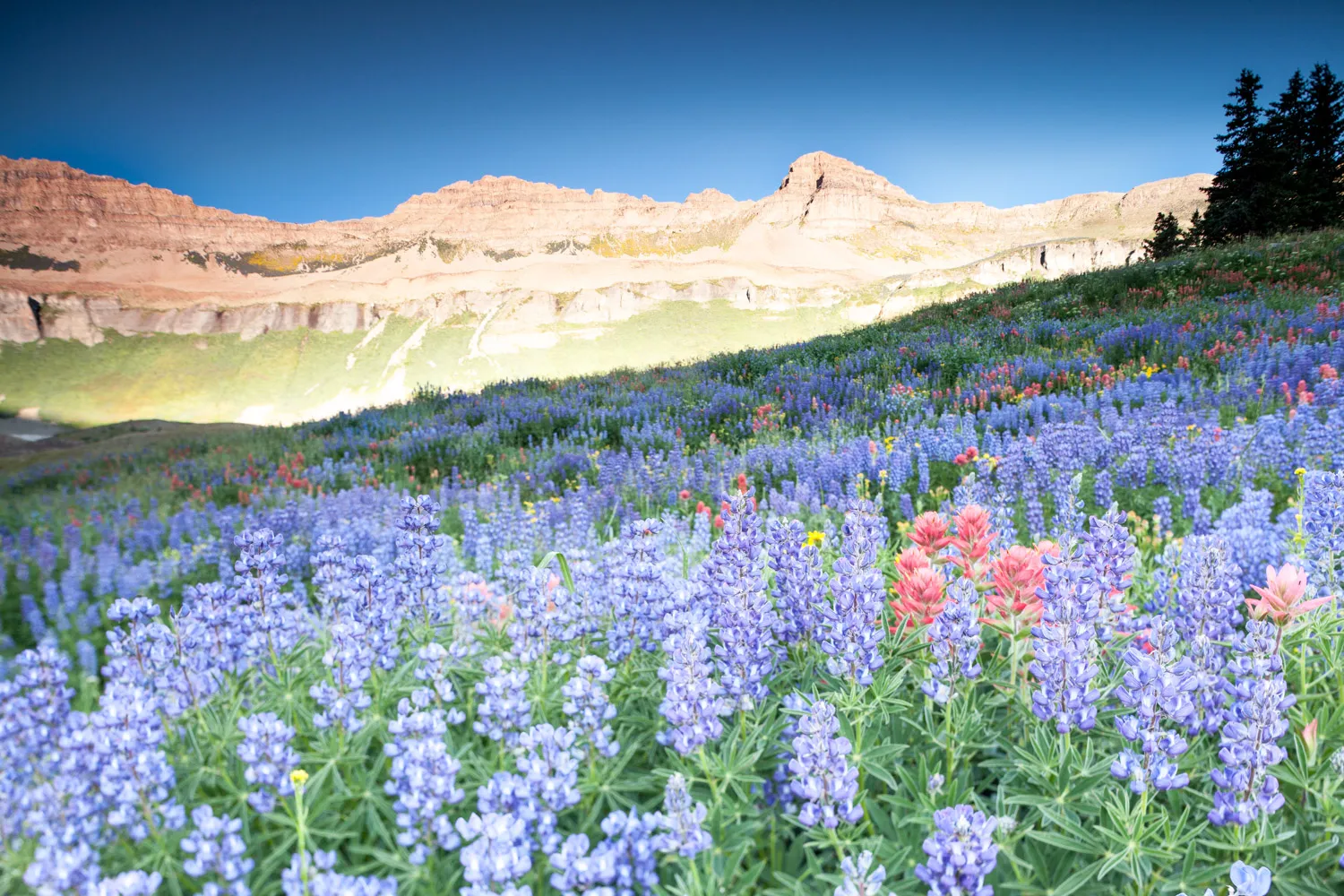 Mount Timpanogos via Timpanogos Trail #053