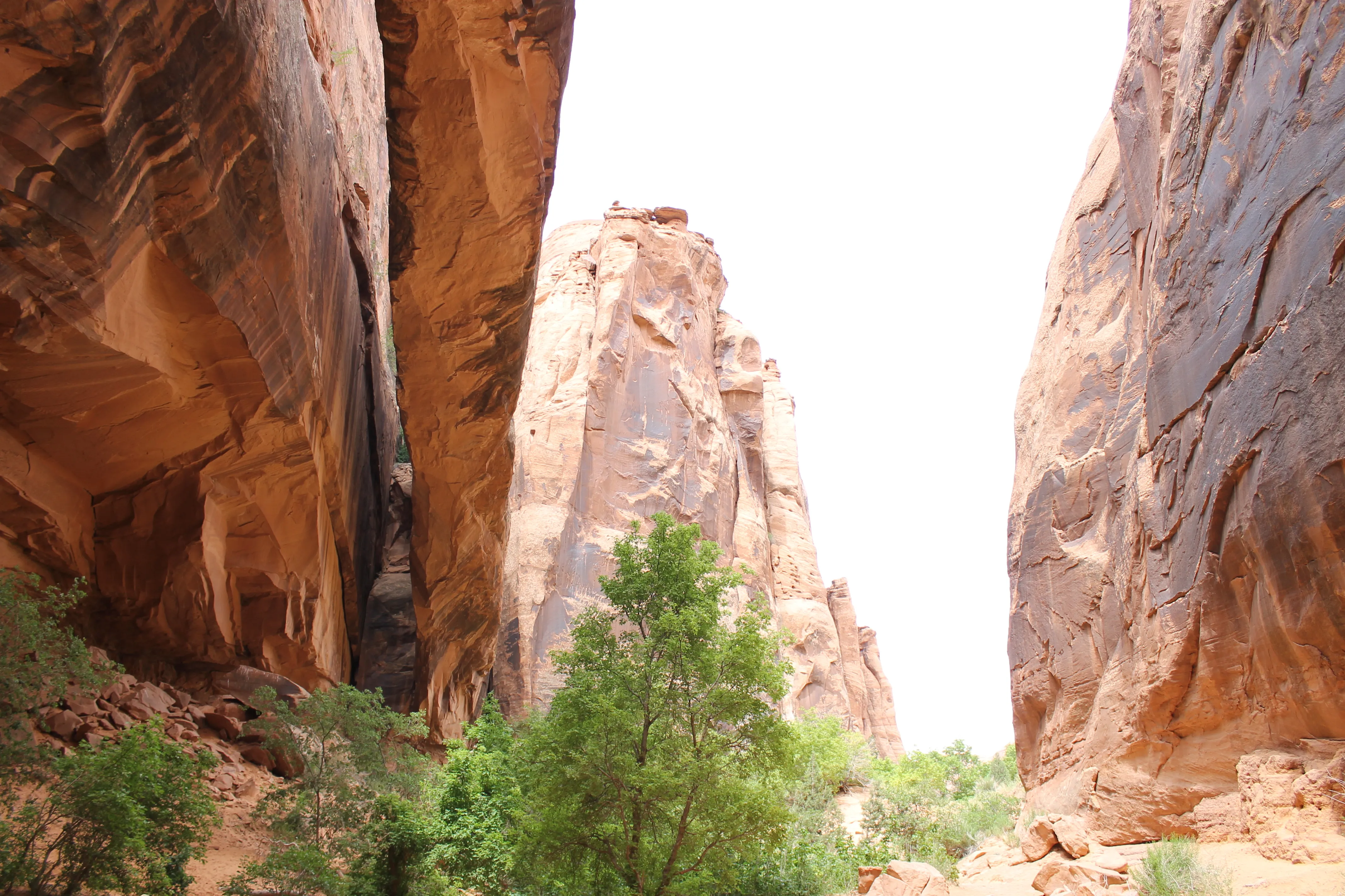 Grandstaff Canyon