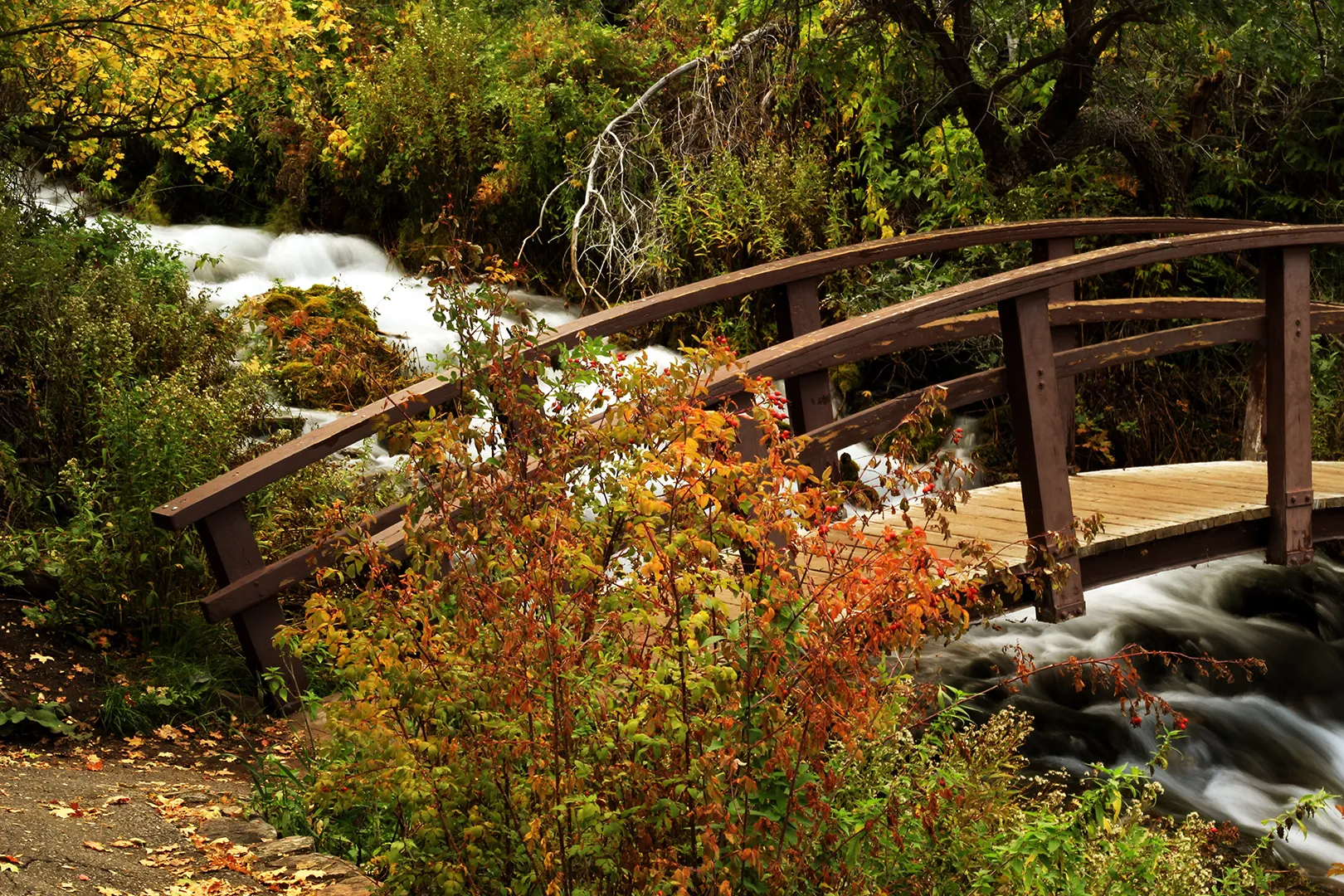 Cascade Springs